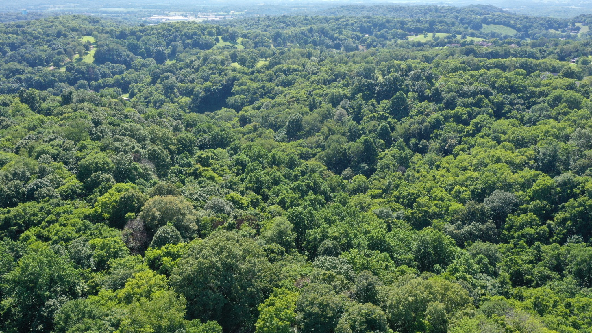 0 Strawberry Gables Property Photo 1