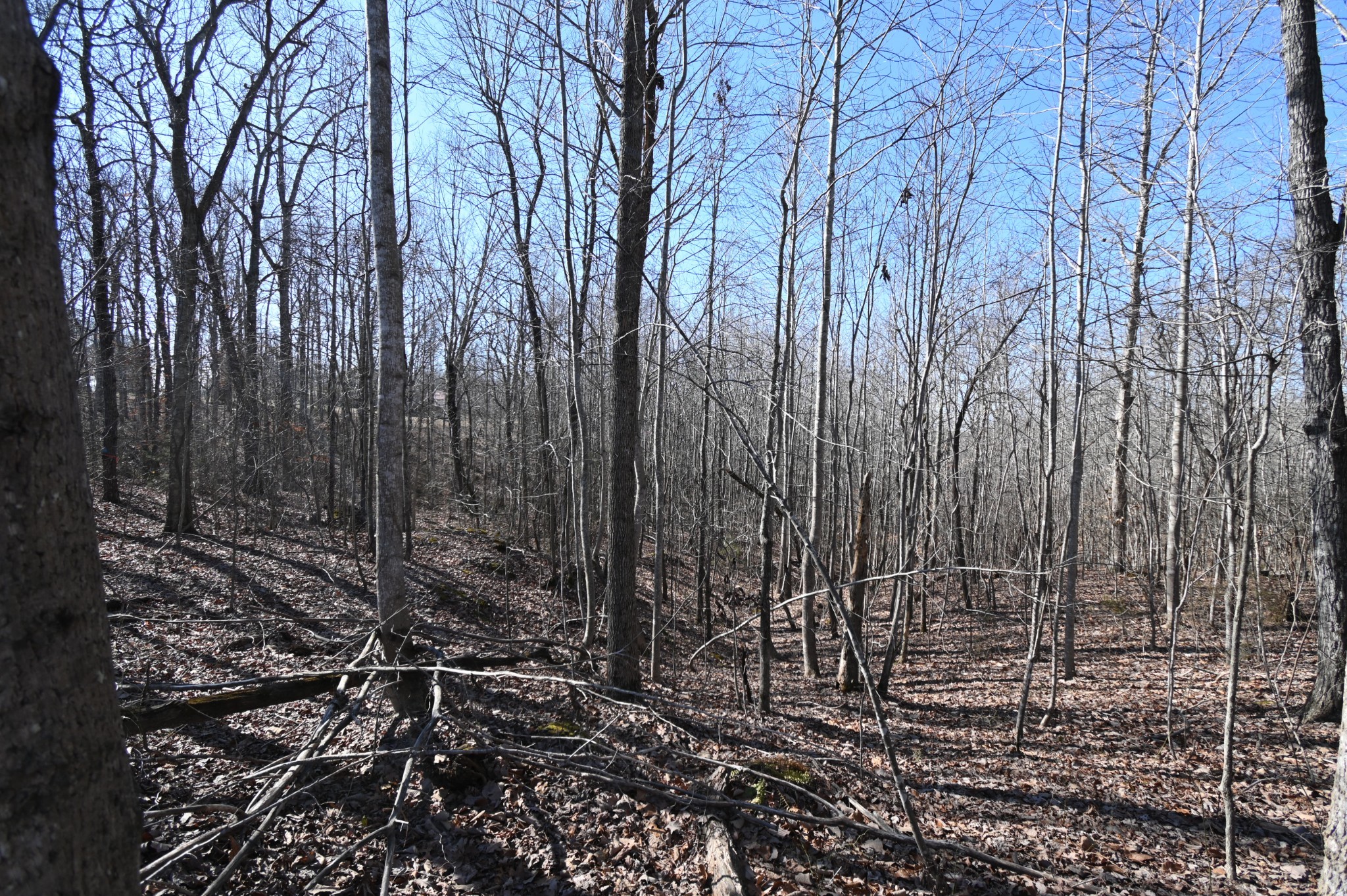 2172 Airport Ridge Rd Property Photo 3