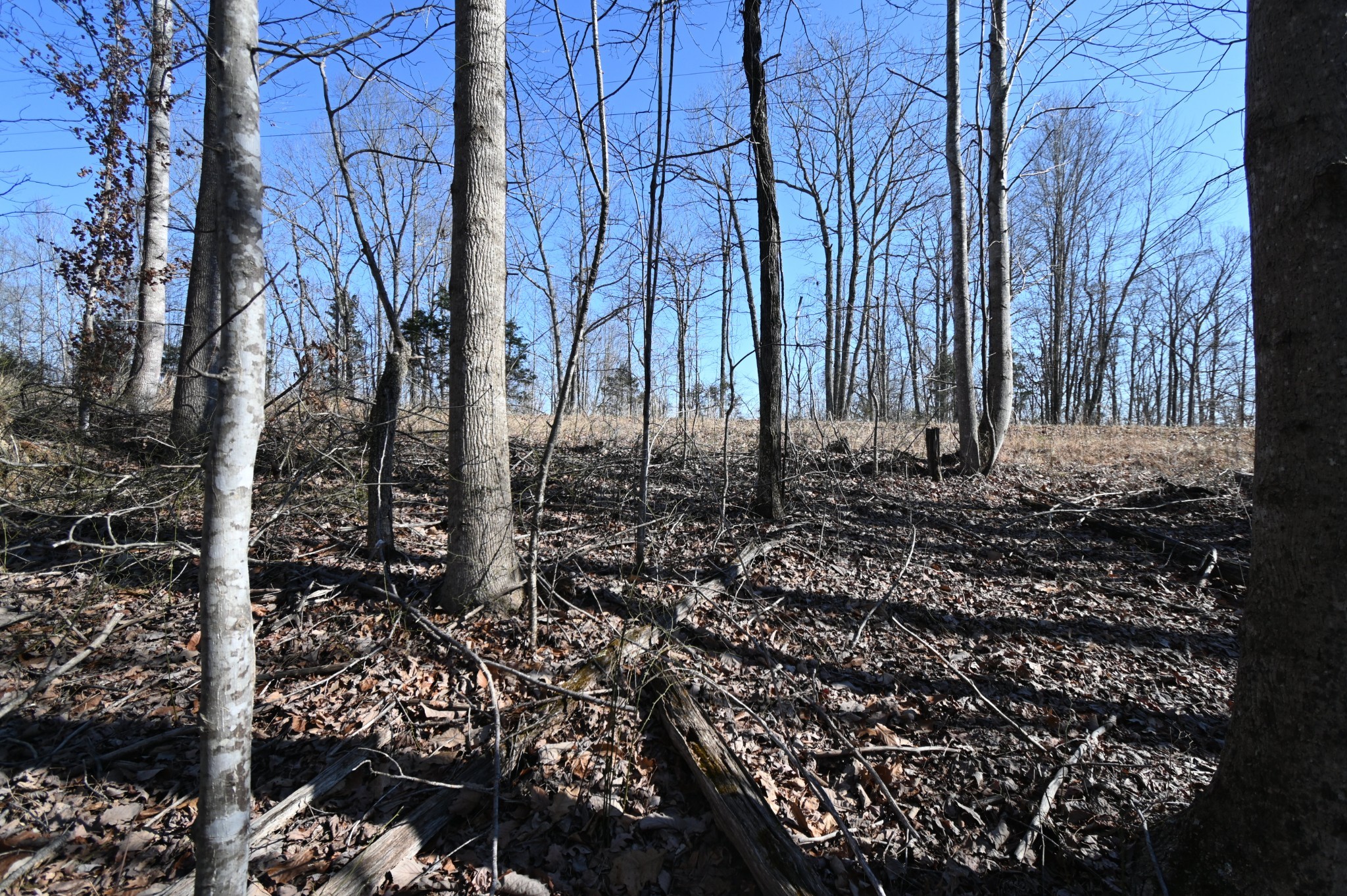 2172 Airport Ridge Rd Property Photo 4