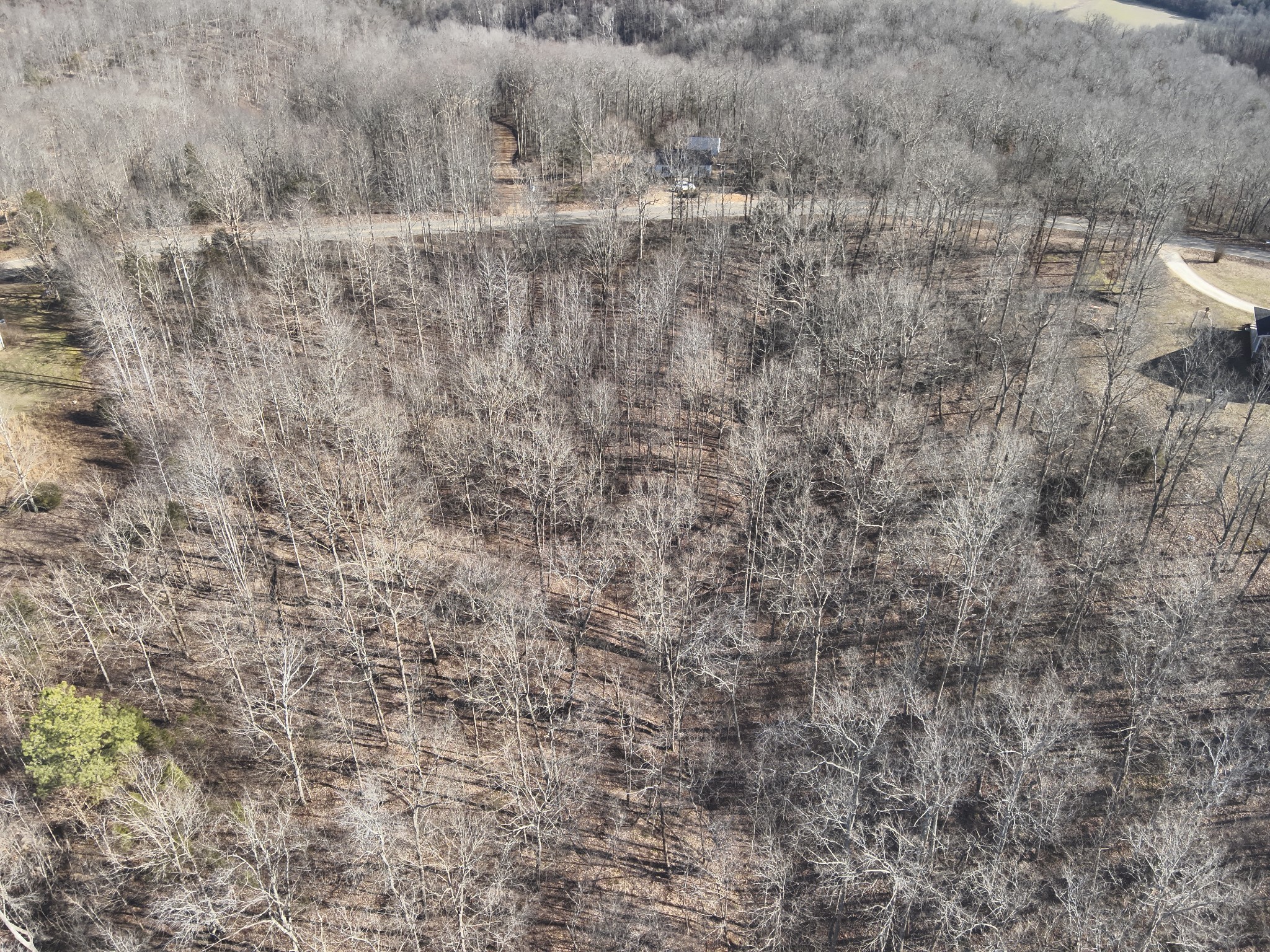 2172 Airport Ridge Rd Property Photo 8