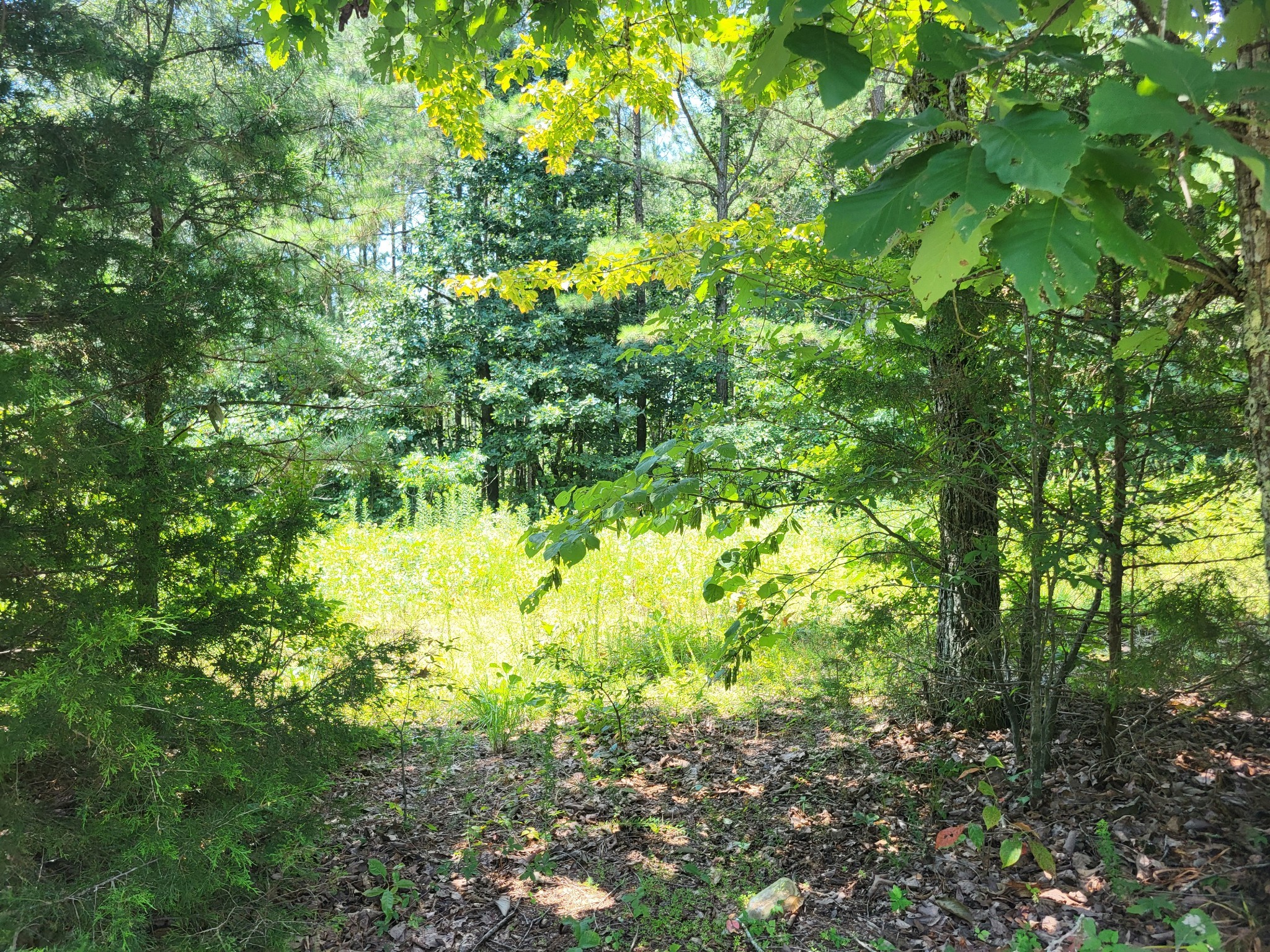 0 Strawbery Gables Property Photo 3