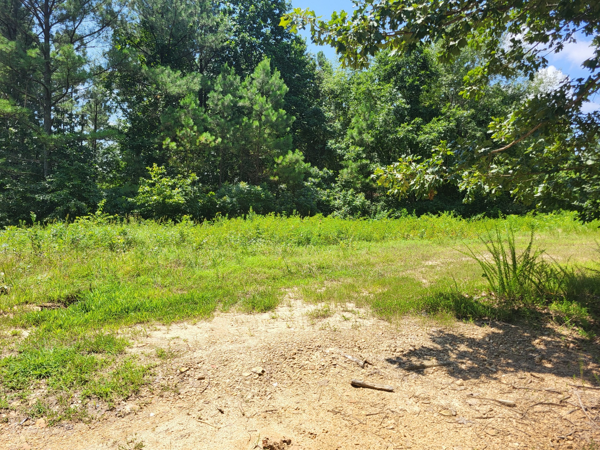 0 Strawbery Gables Property Photo 4