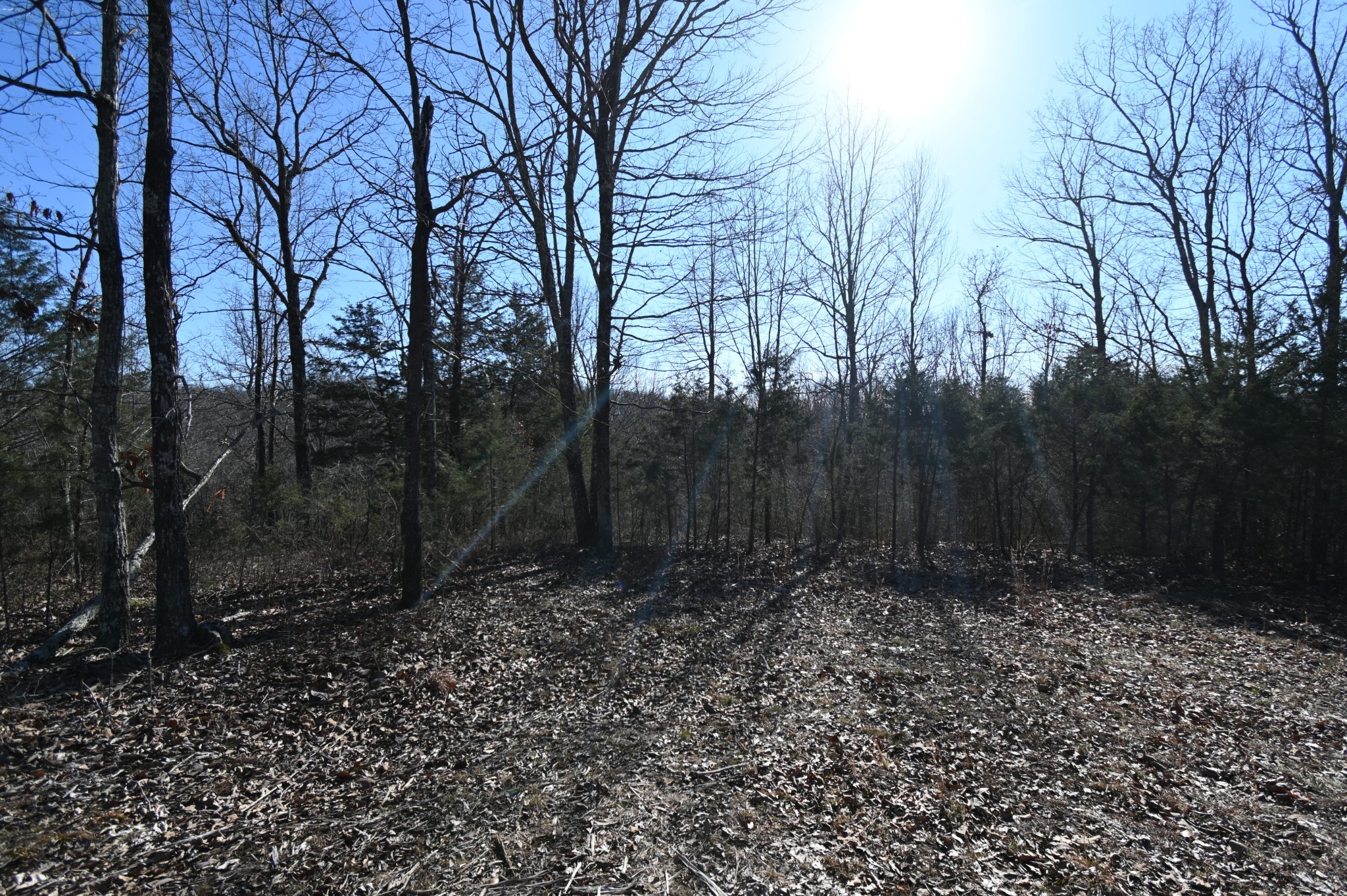 143 Wyatt Ln Property Photo 1