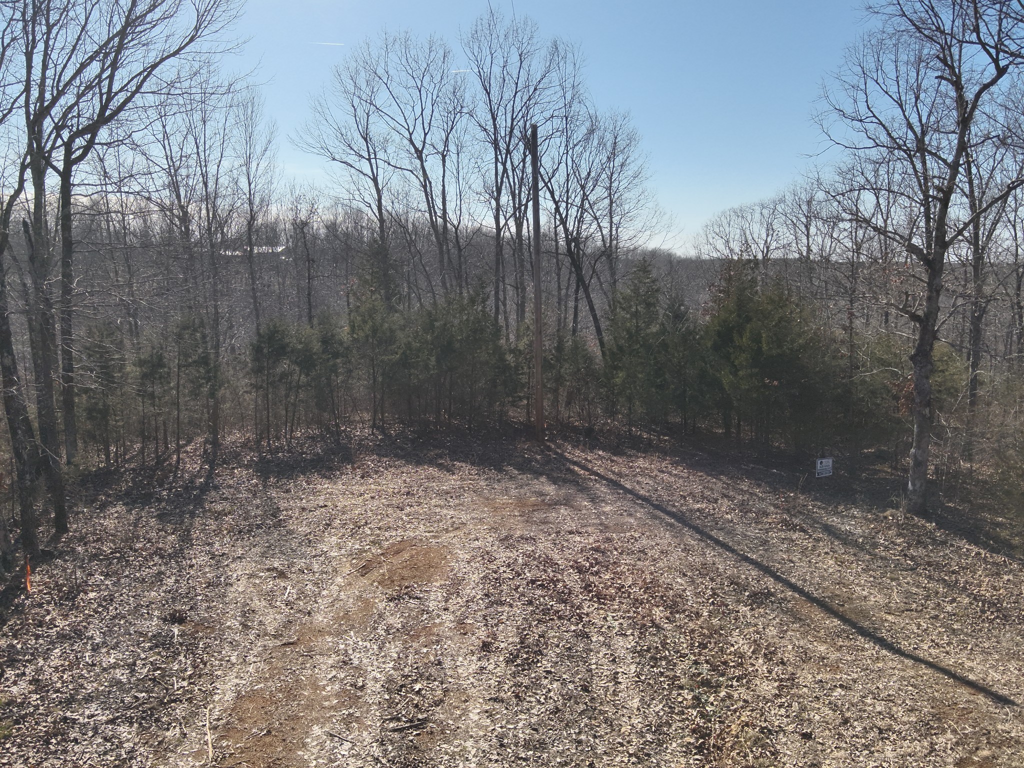 143 Wyatt Ln Property Photo 2