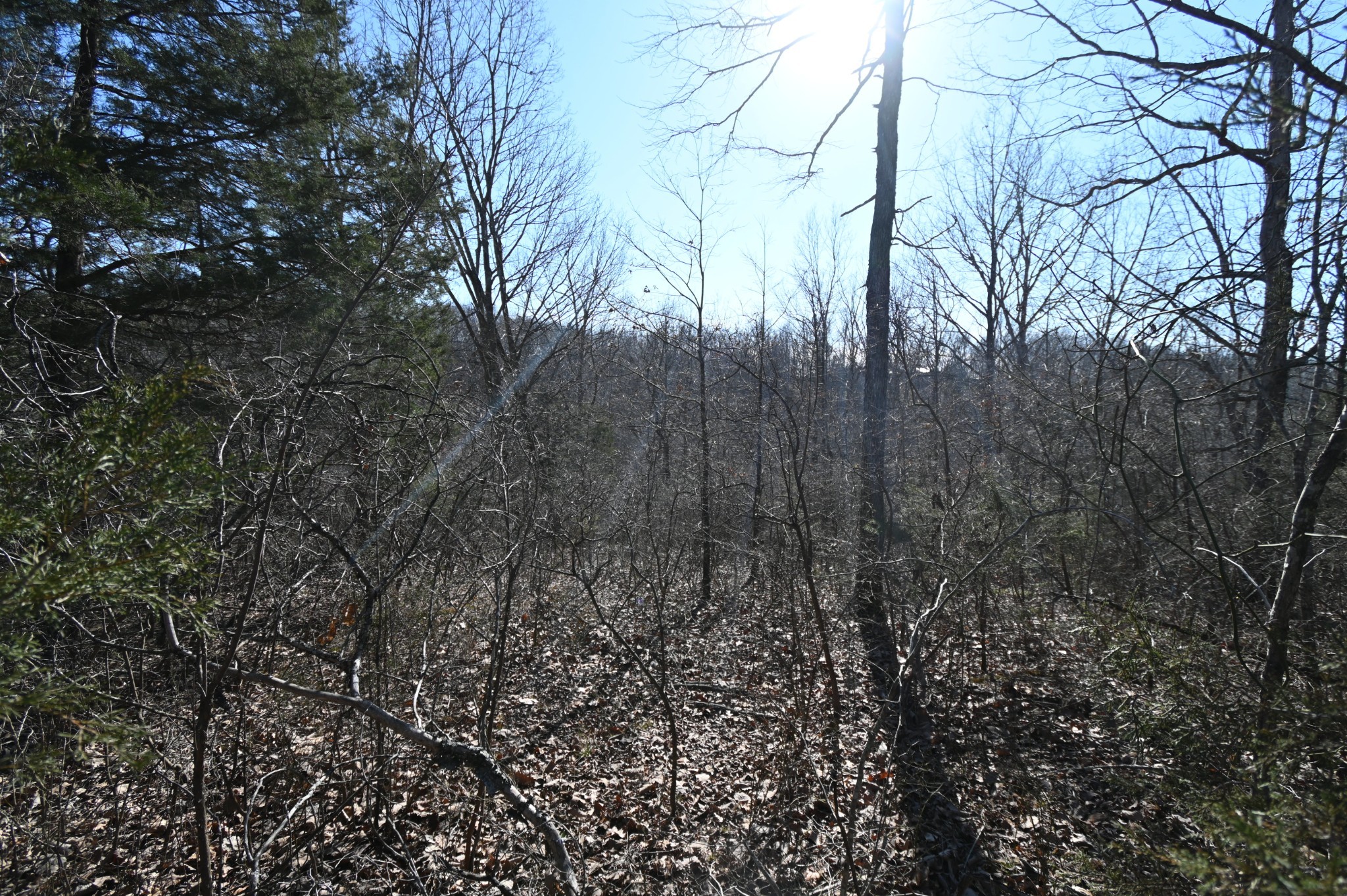 143 Wyatt Ln Property Photo 5