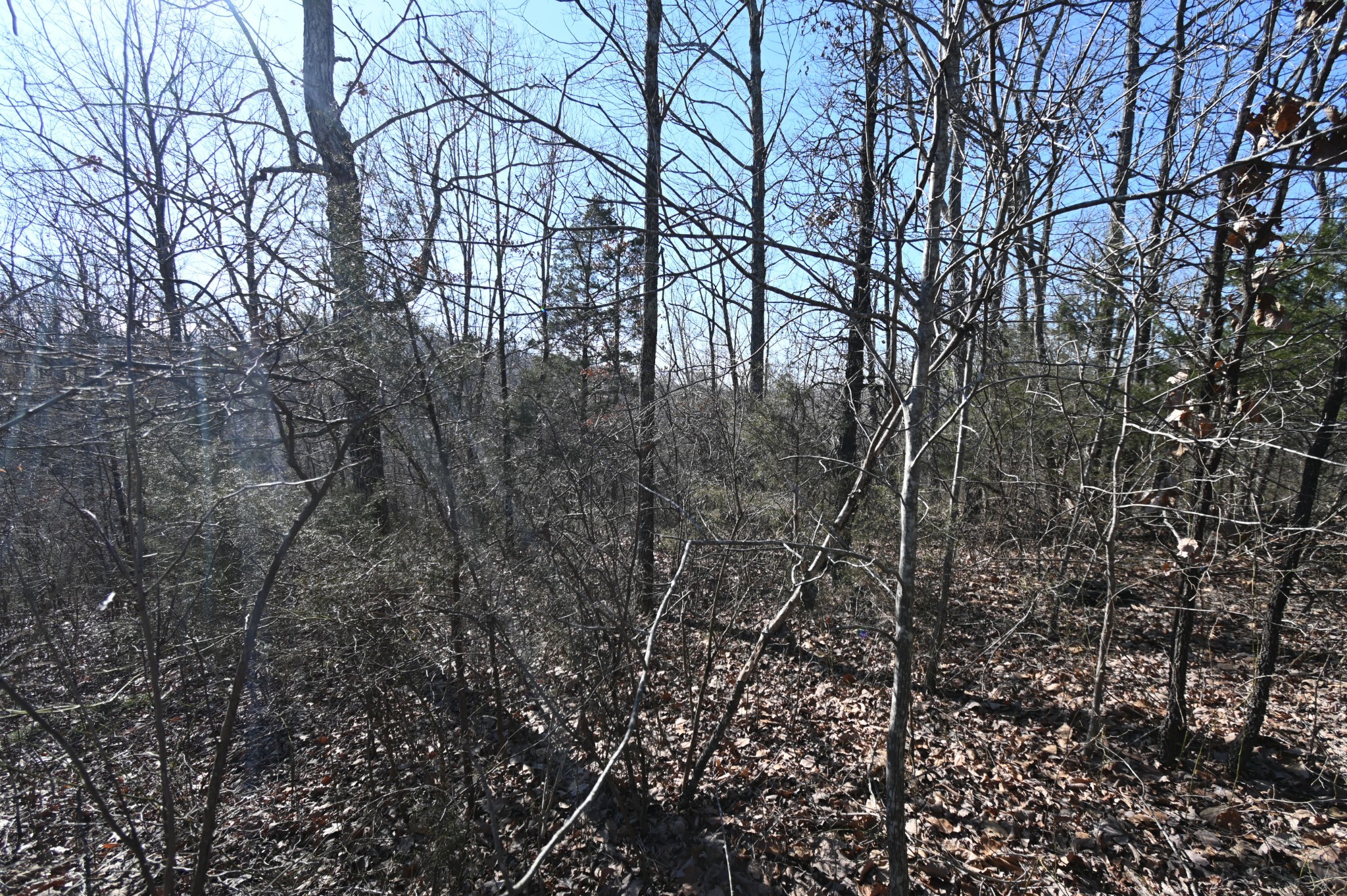 143 Wyatt Ln Property Photo 7