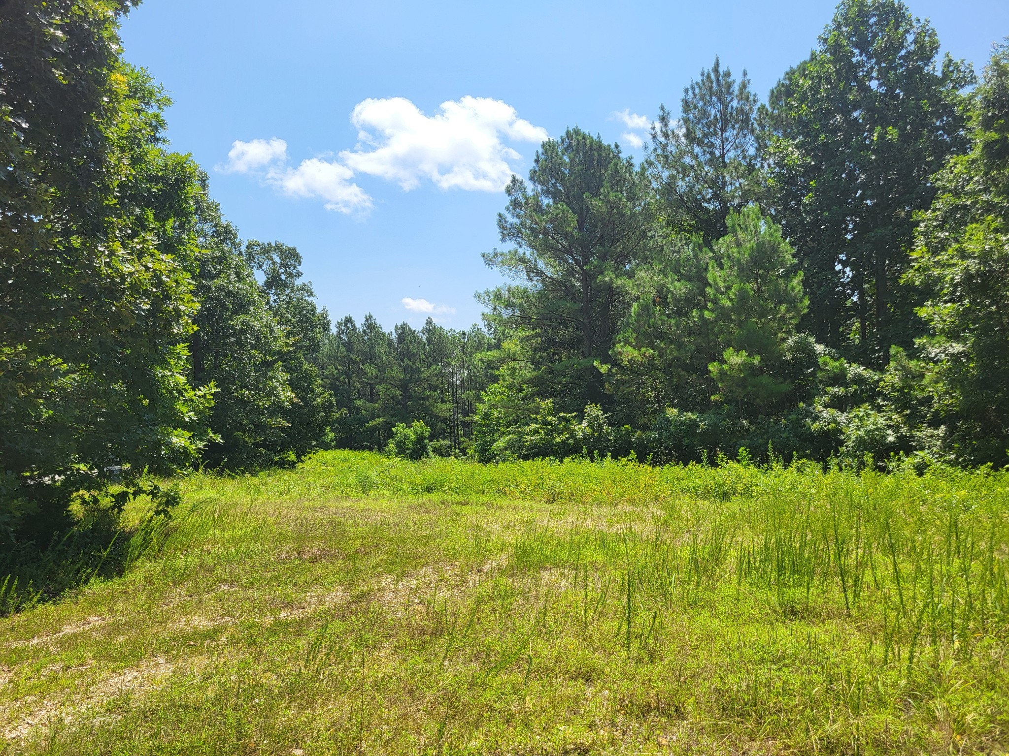 0 Strawberry Gables Property Photo 2