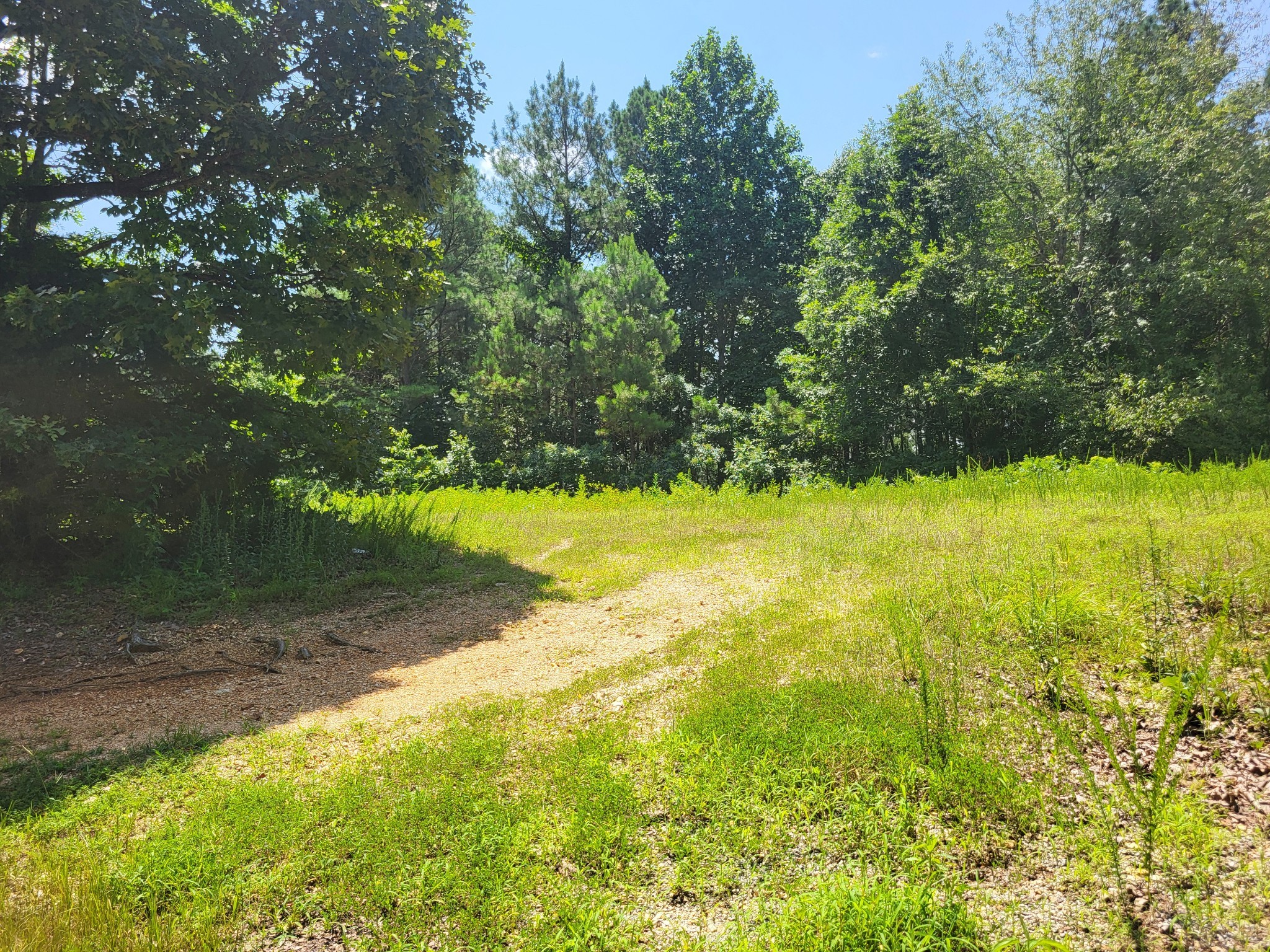 0 Strawberry Gables Property Photo 3