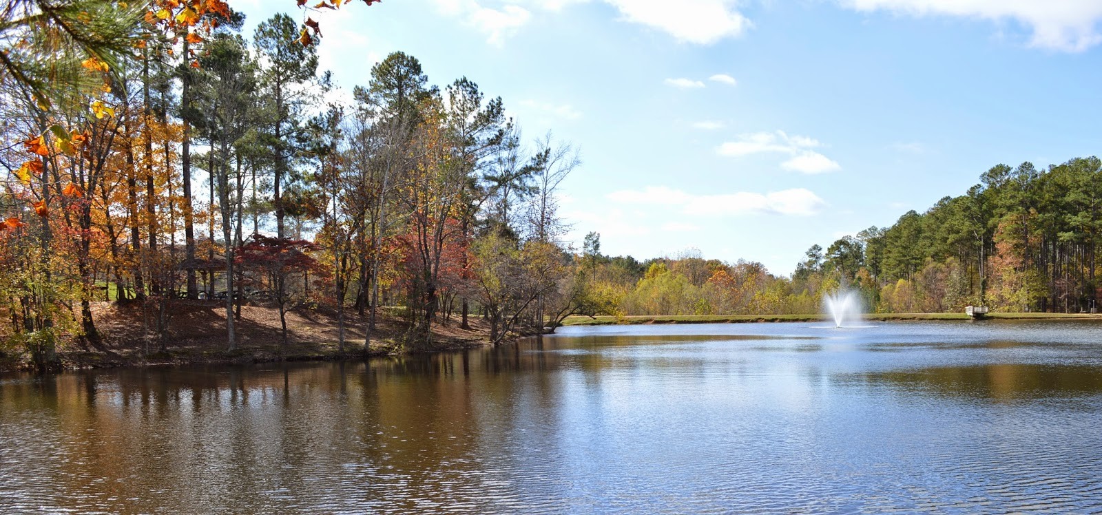 7194 Dice Lampley Rd Property Photo 9