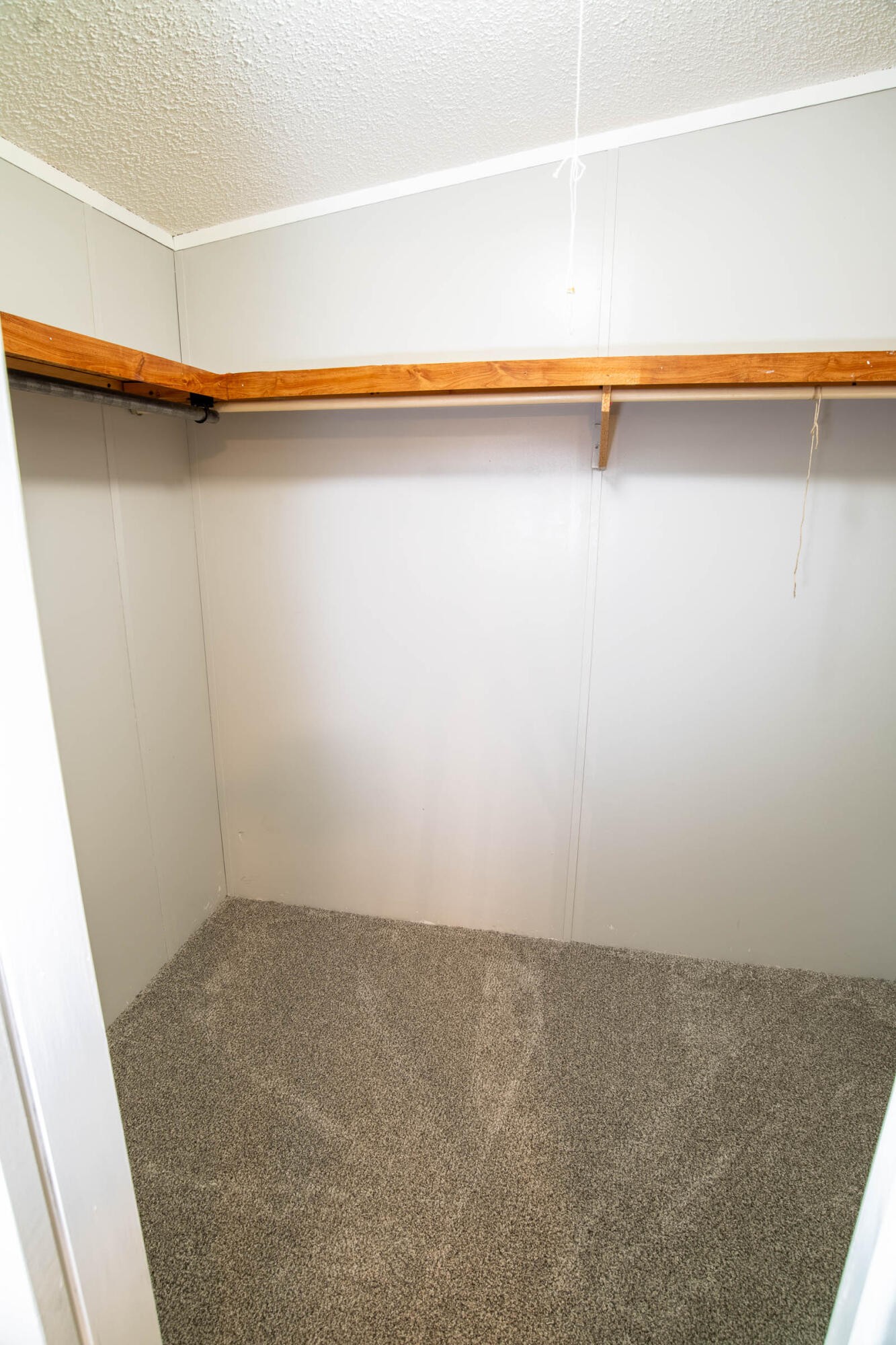 230 Appaloosa Drive Property Photo 15