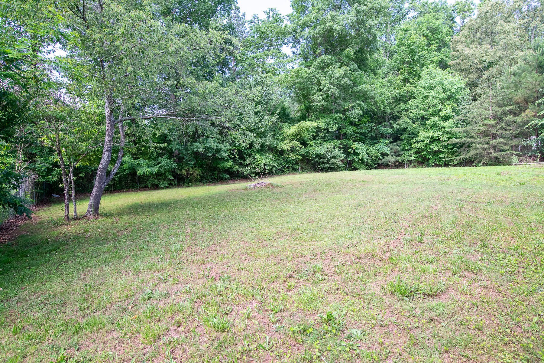 230 Appaloosa Drive Property Photo 23