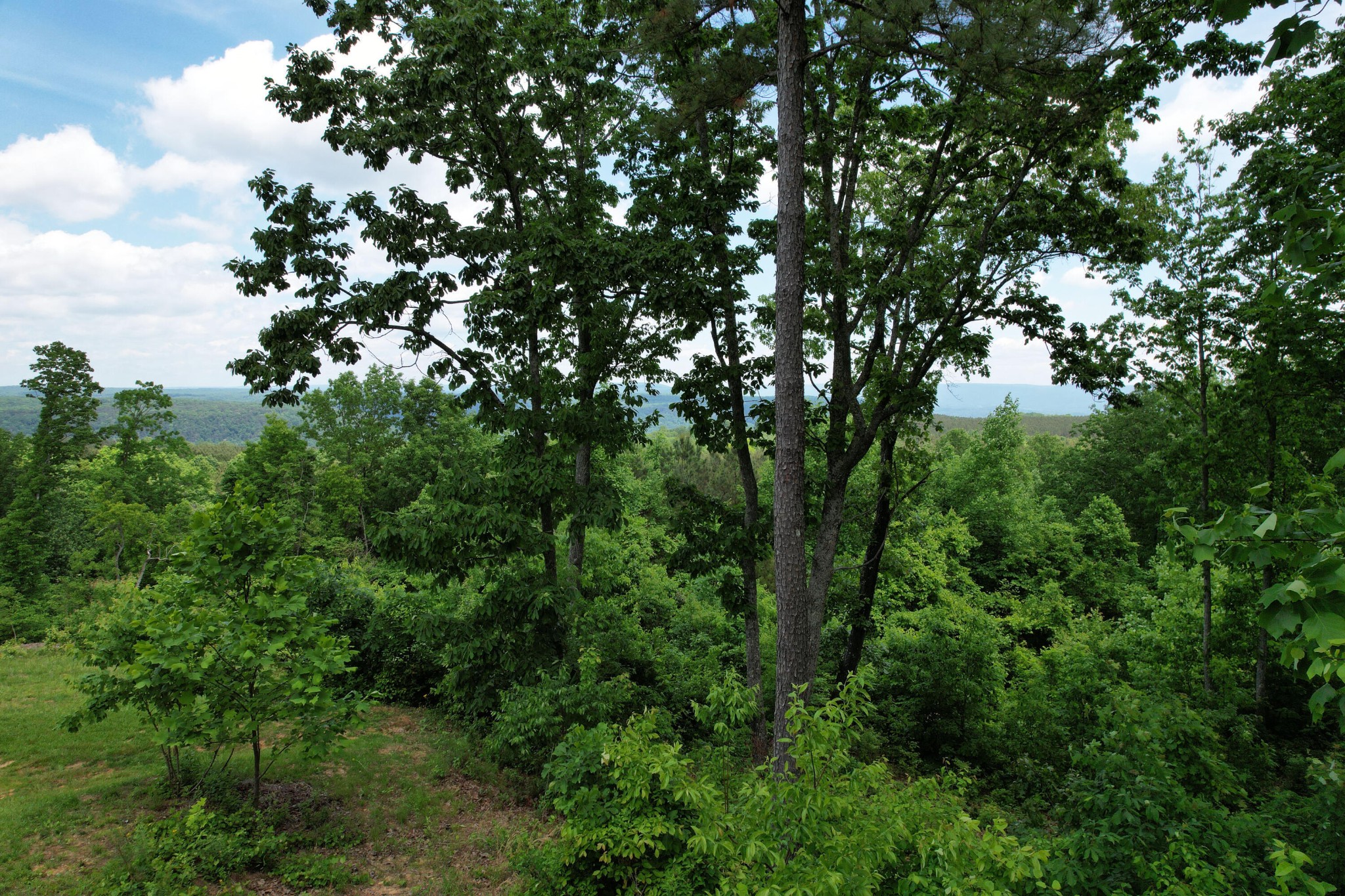 440 Lookout View Drive Property Photo 11