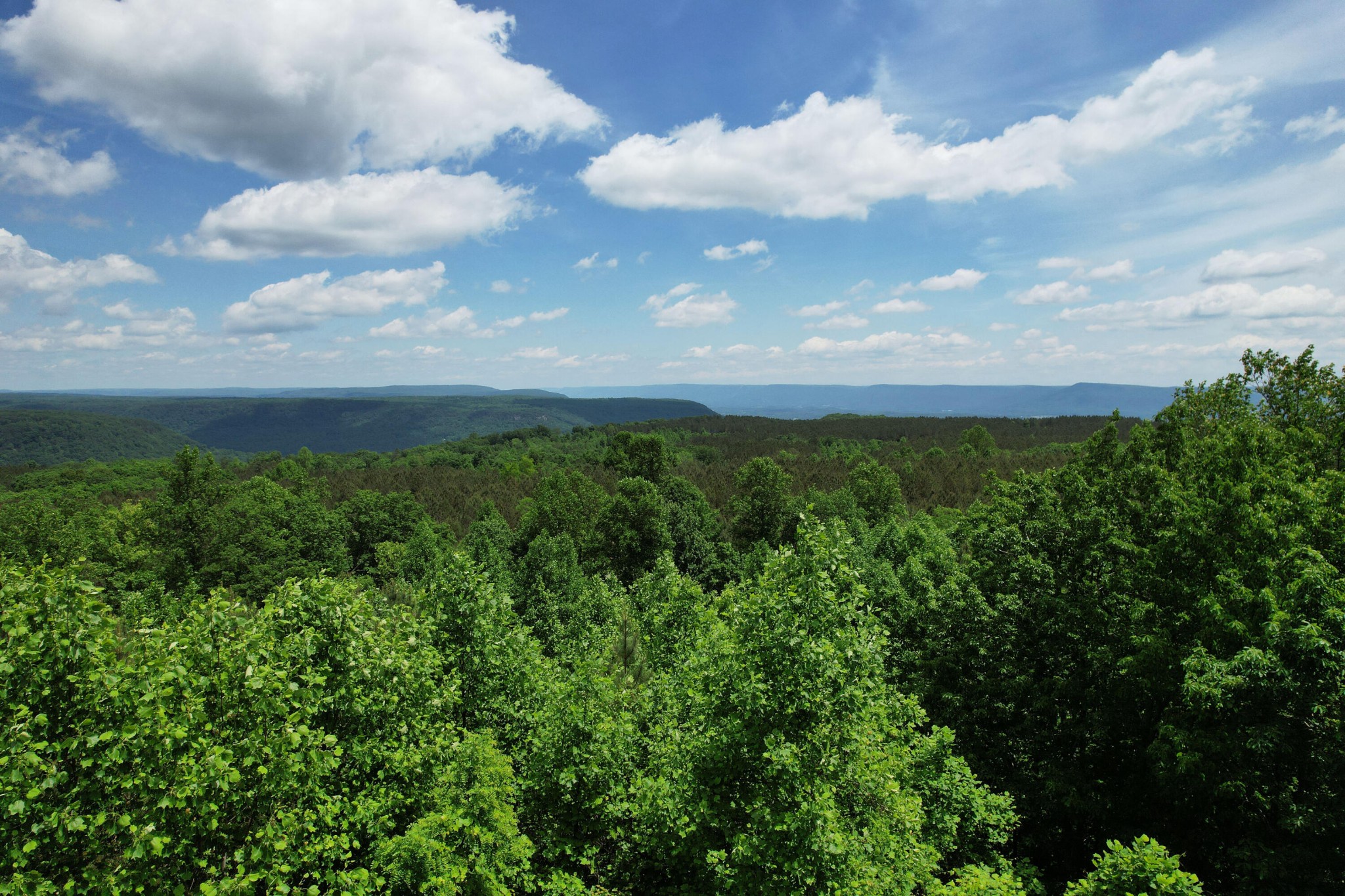 440 Lookout View Drive Property Photo 12