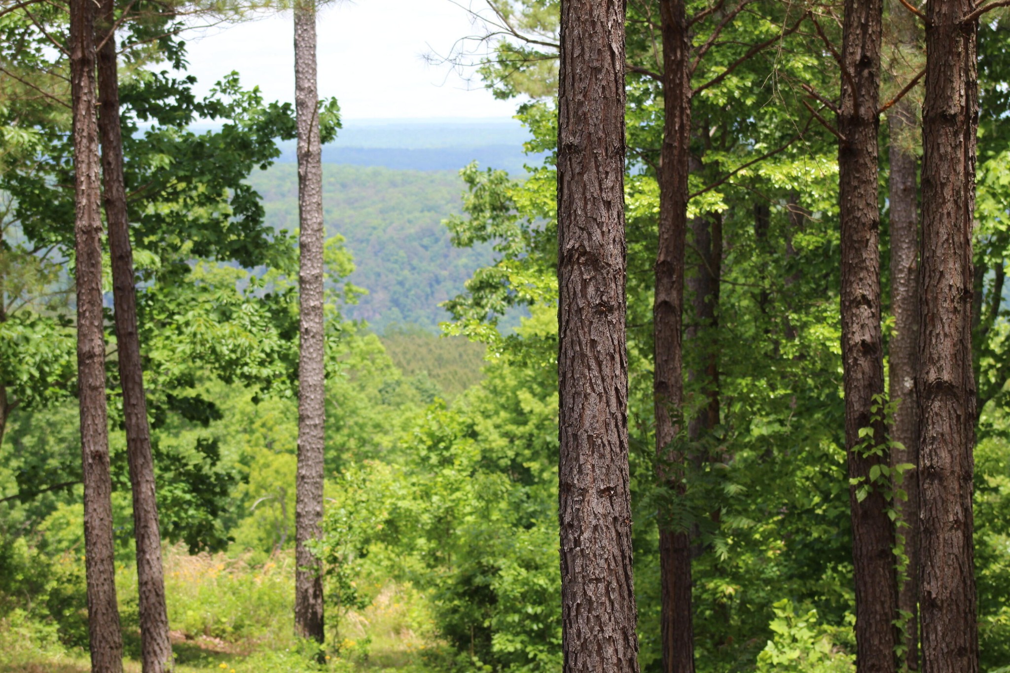 440 Lookout View Drive Property Photo 18