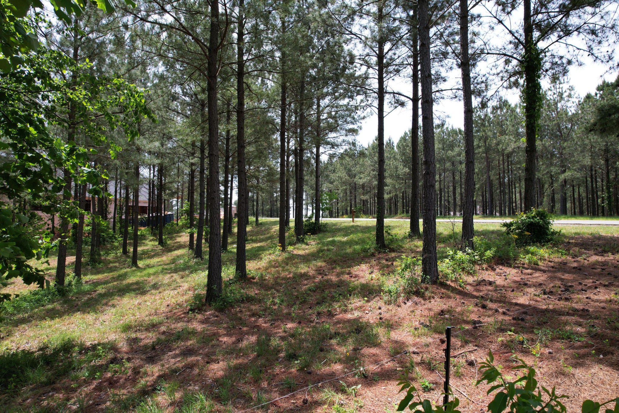 440 Lookout View Drive Property Photo 19