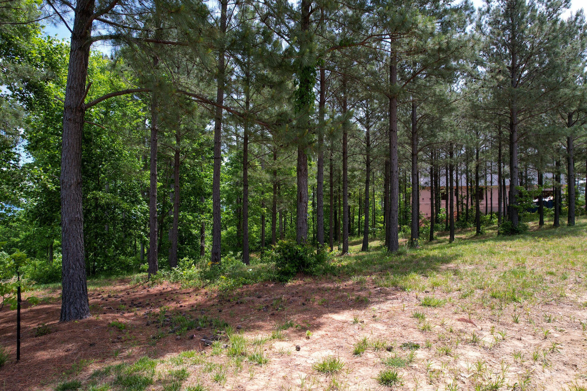 440 Lookout View Drive Property Photo 21