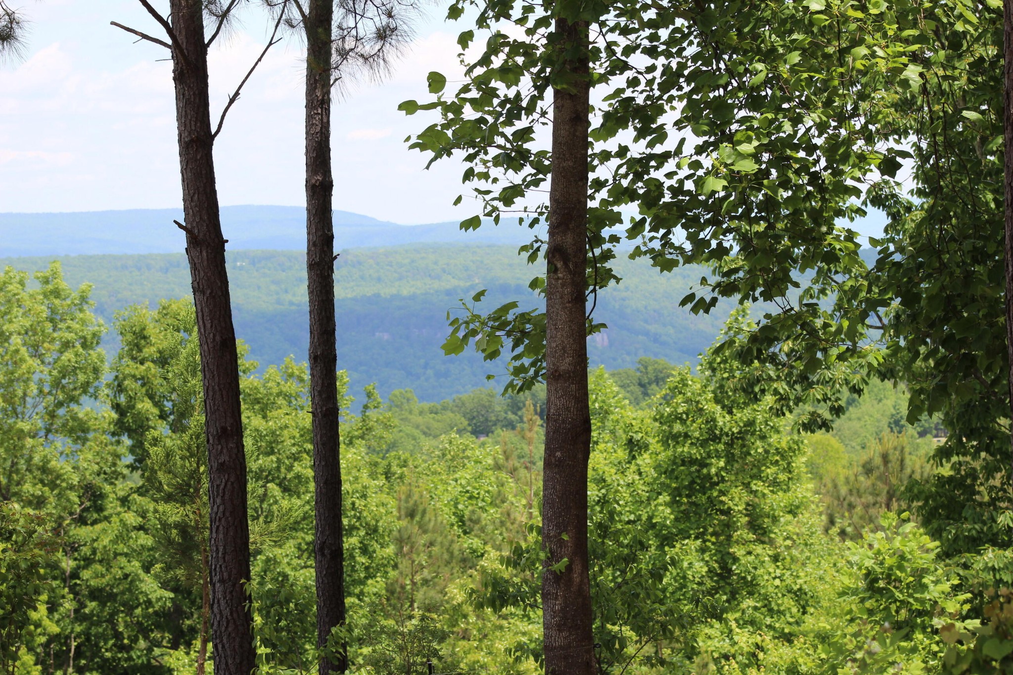 440 Lookout View Drive Property Photo 22