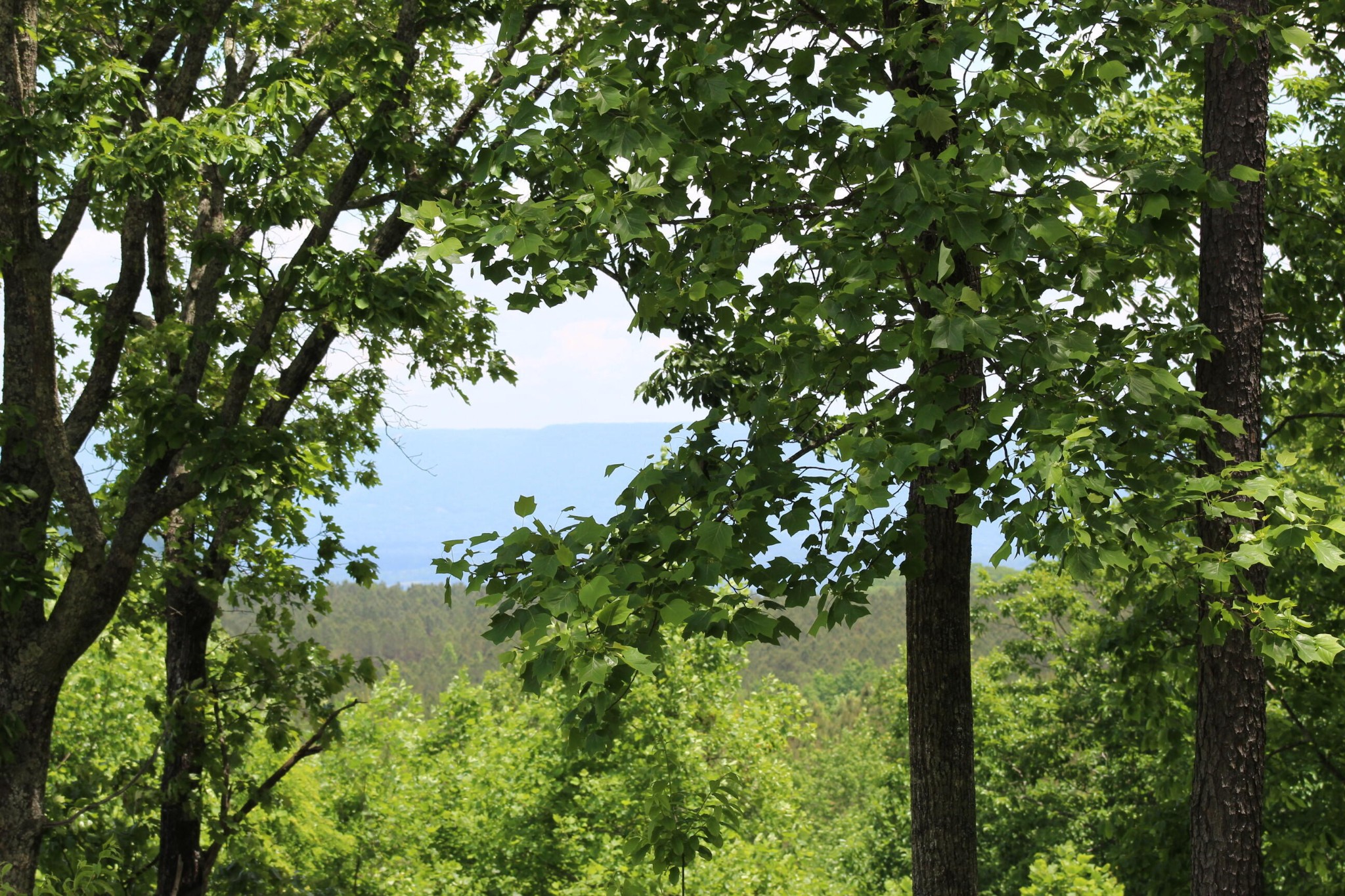 440 Lookout View Drive Property Photo 23