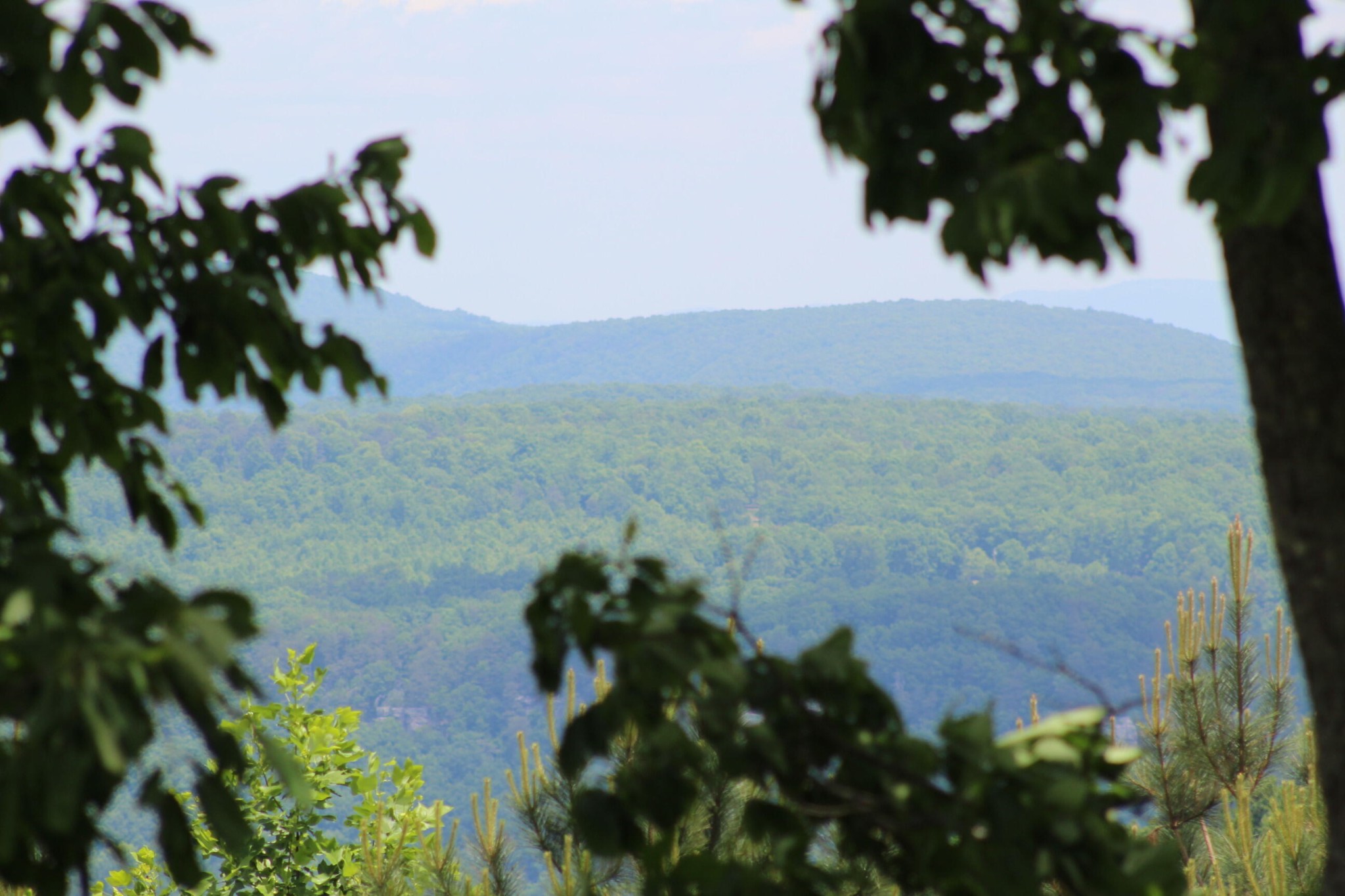 440 Lookout View Drive Property Photo 24