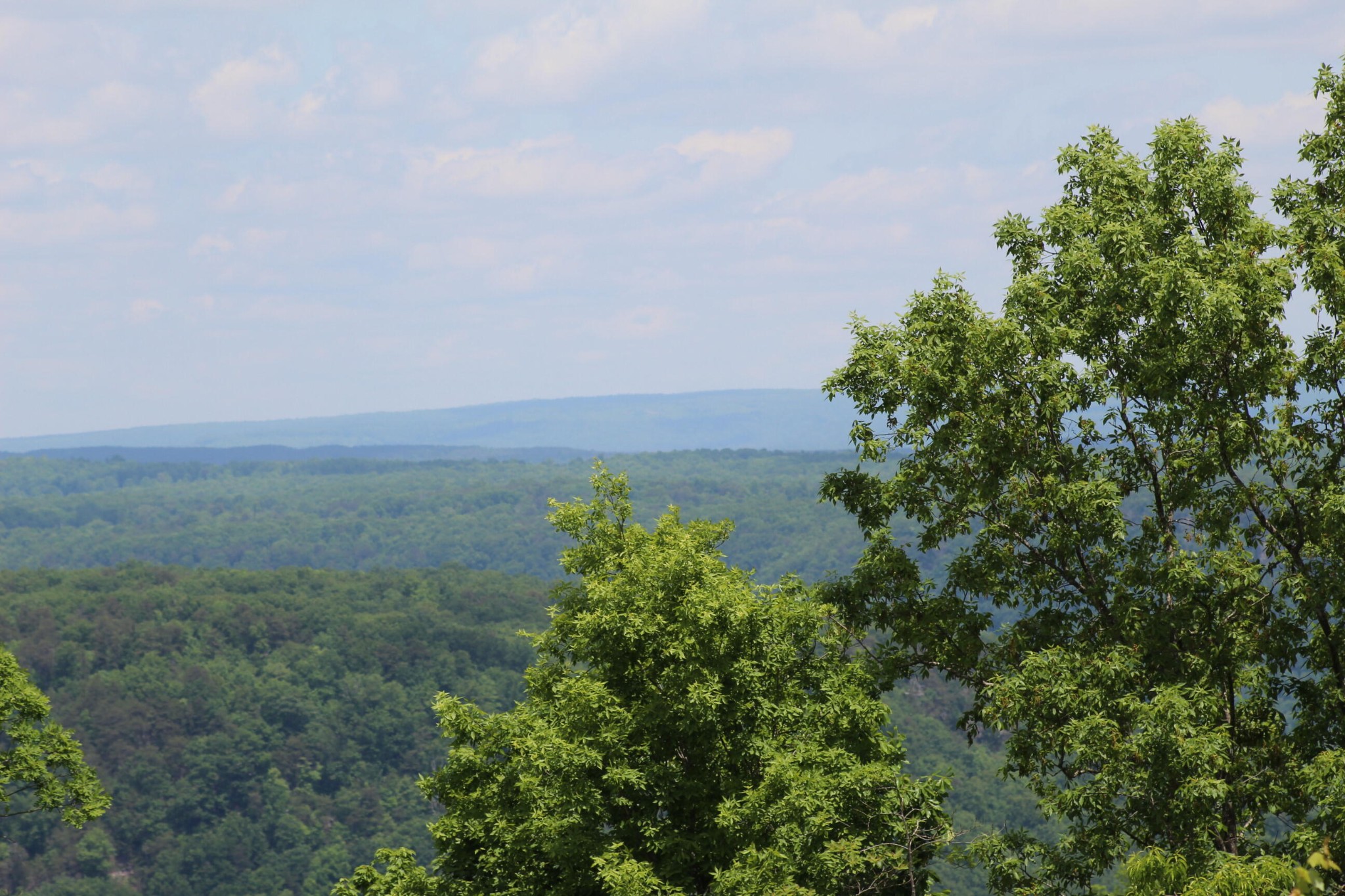 440 Lookout View Drive Property Photo 25