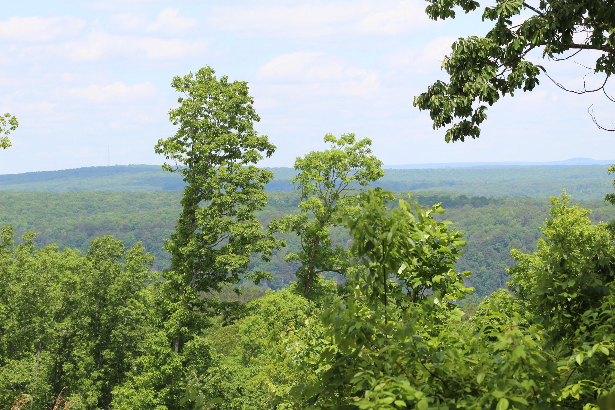 440 Lookout View Drive Property Photo 27