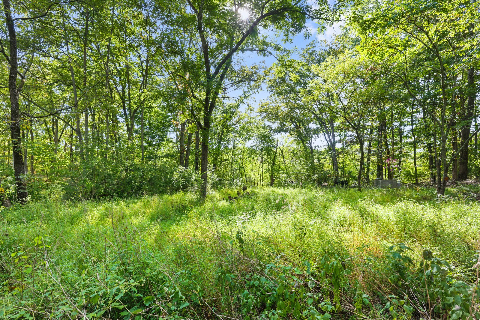 580 Carr Rd Property Photo 12