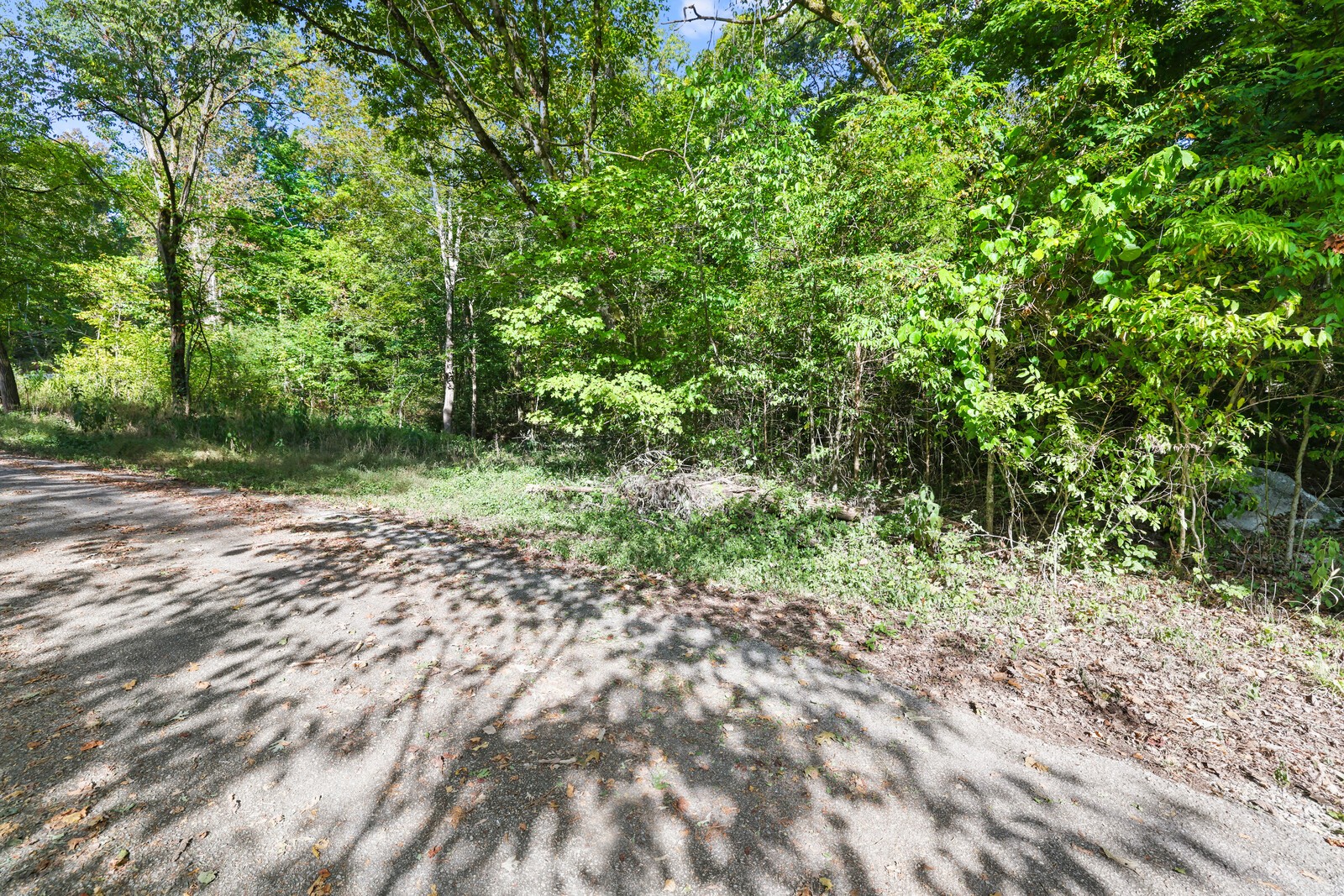 580 Carr Rd Property Photo 14