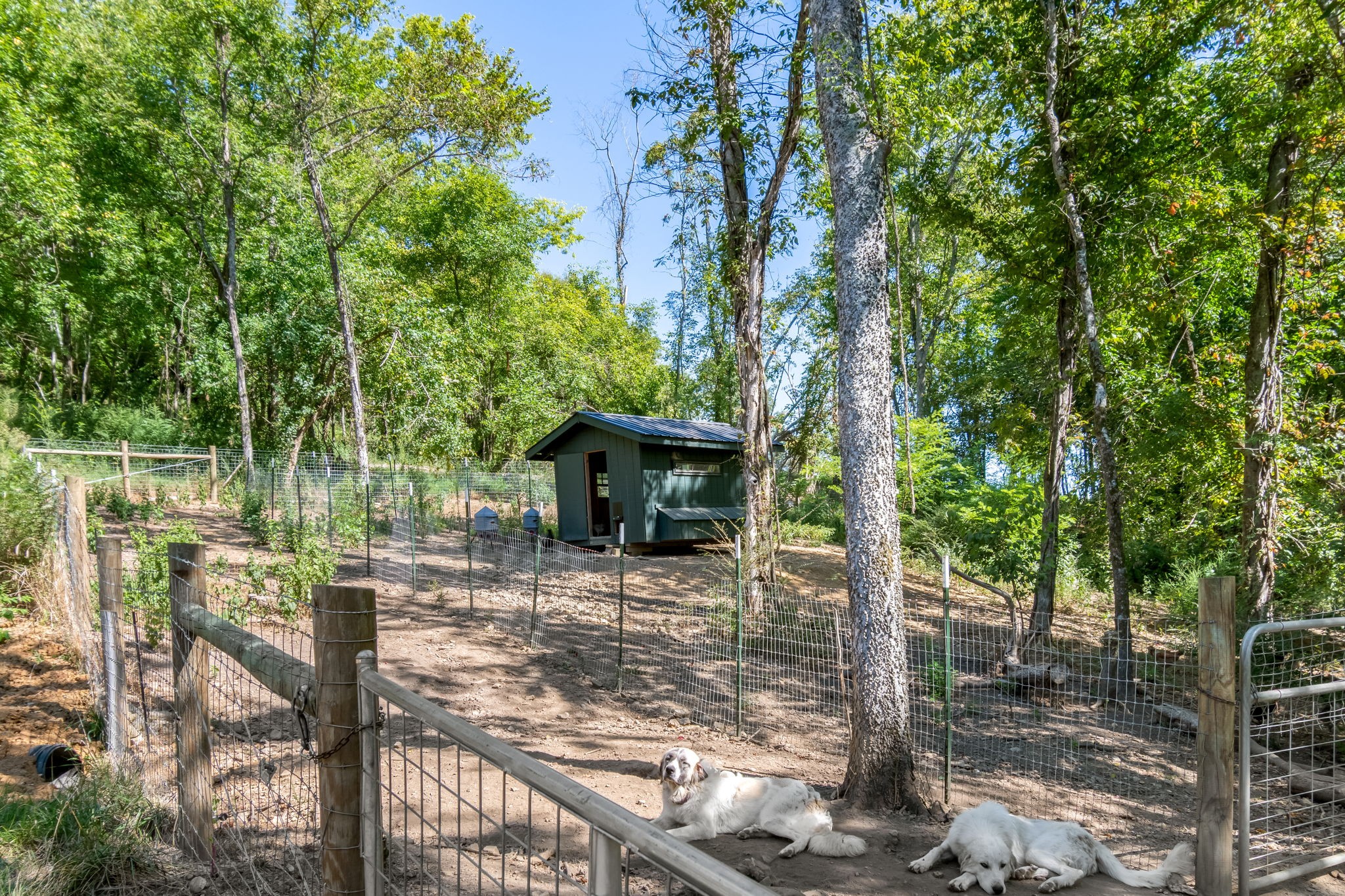 2320 Stephens Road Property Photo 40