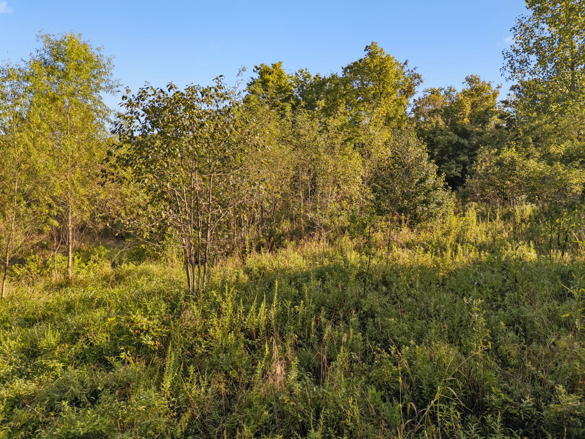 0 Northstone Drive Property Photo 24