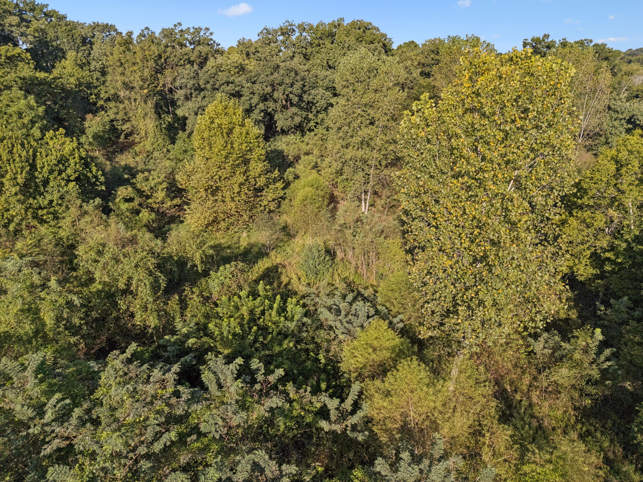 0 Northstone Drive Property Photo 28