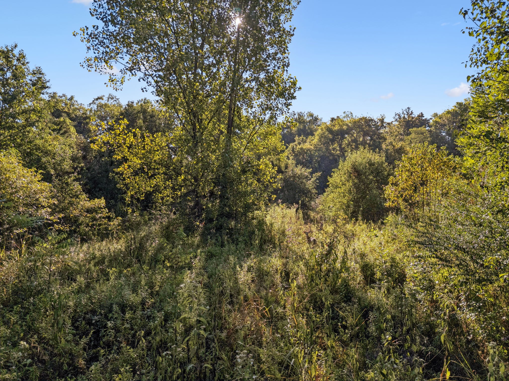 0 Northstone Drive Property Photo 33