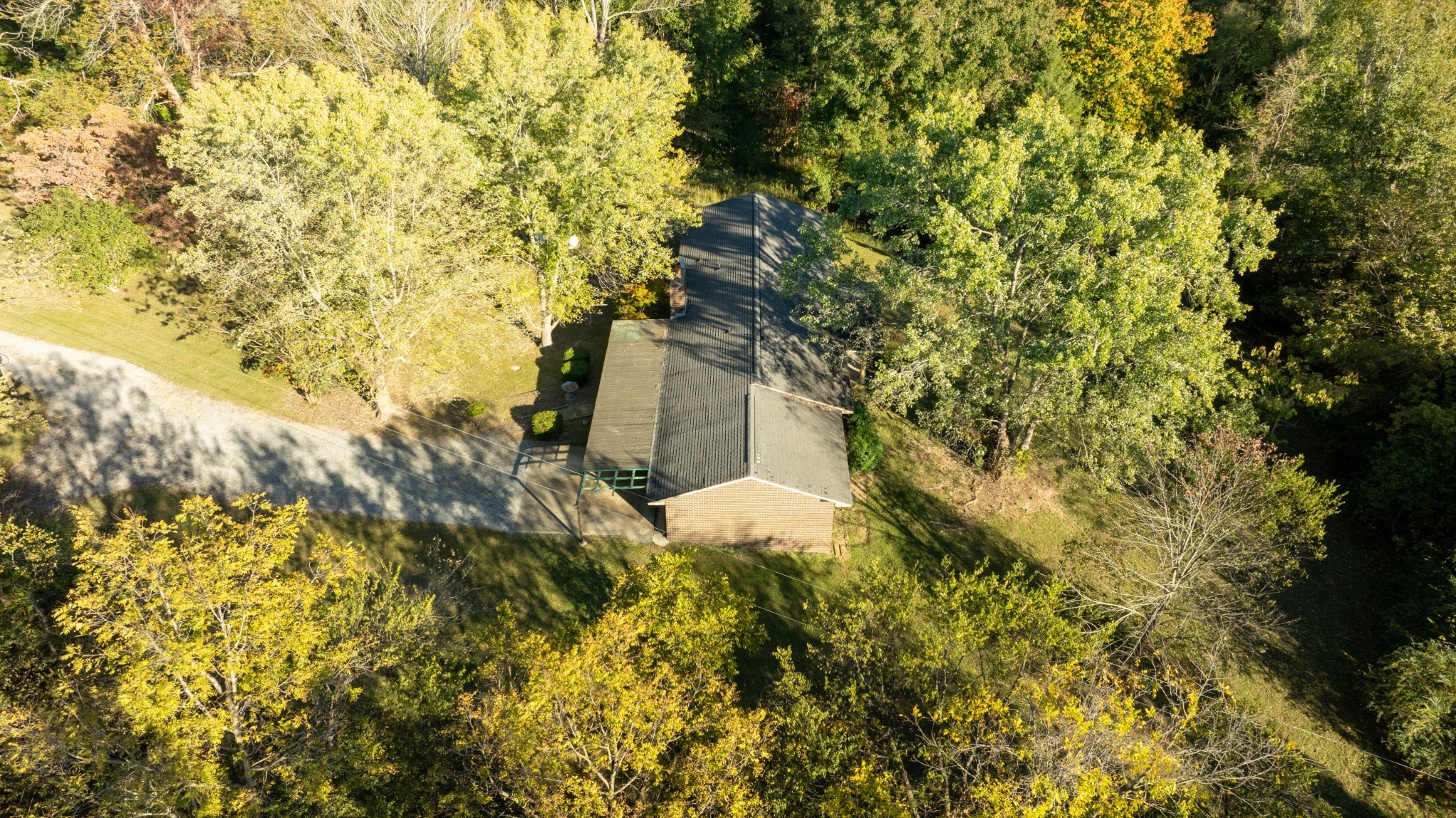 1125 Macon Wall Rd Property Photo 3