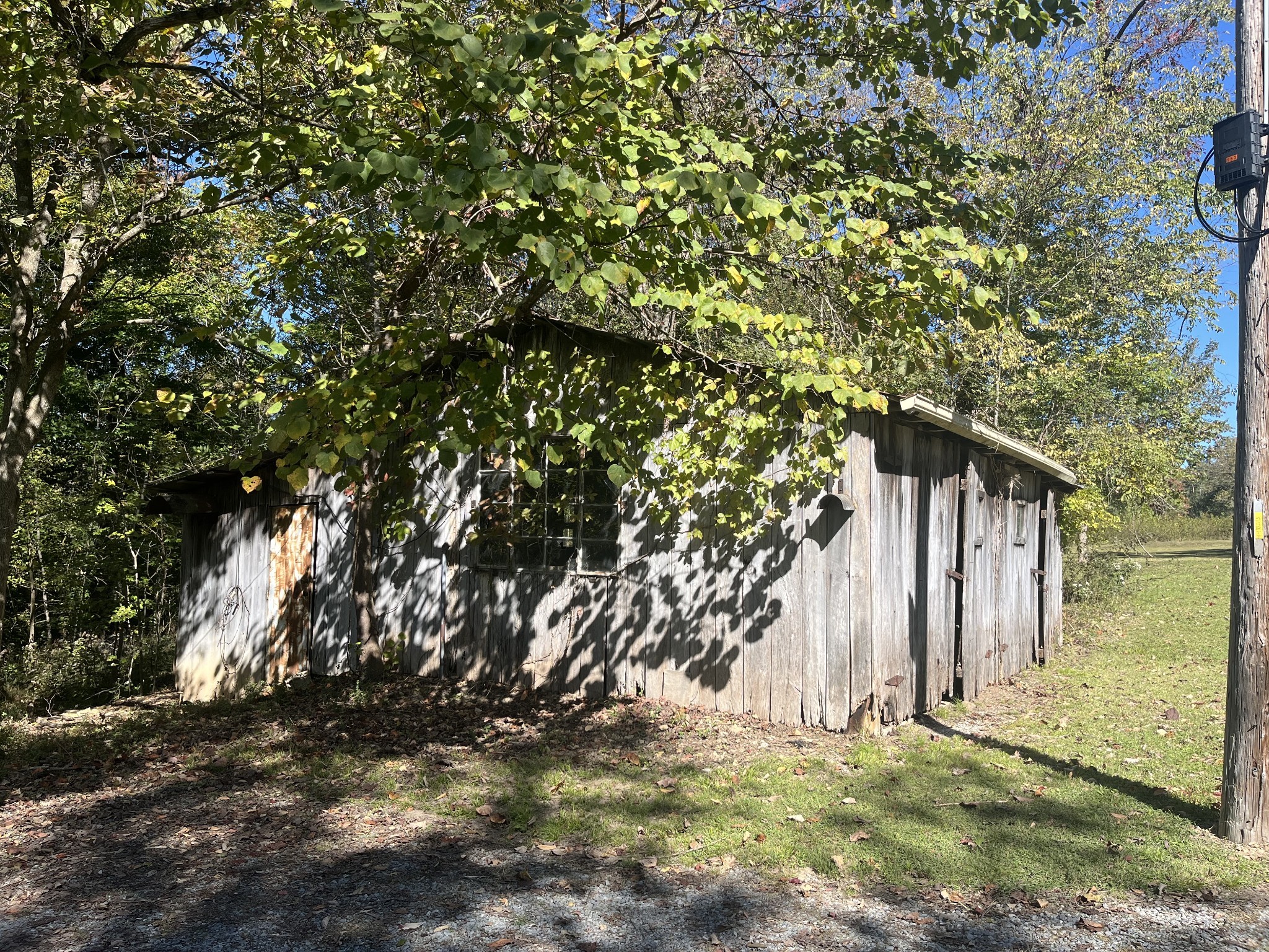 1125 Macon Wall Rd Property Photo 5