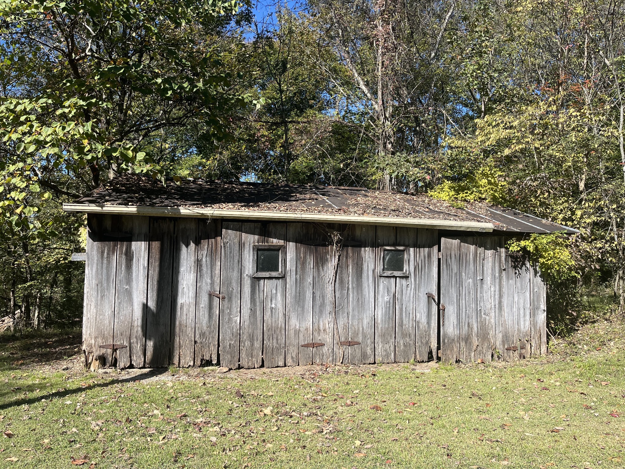 1125 Macon Wall Rd Property Photo 19