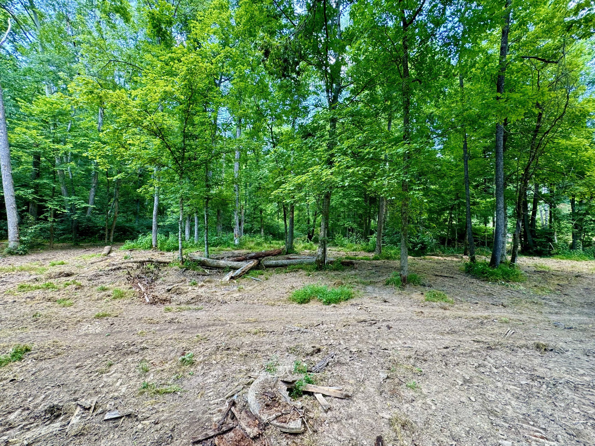 1080 Henley Rd Property Photo 3