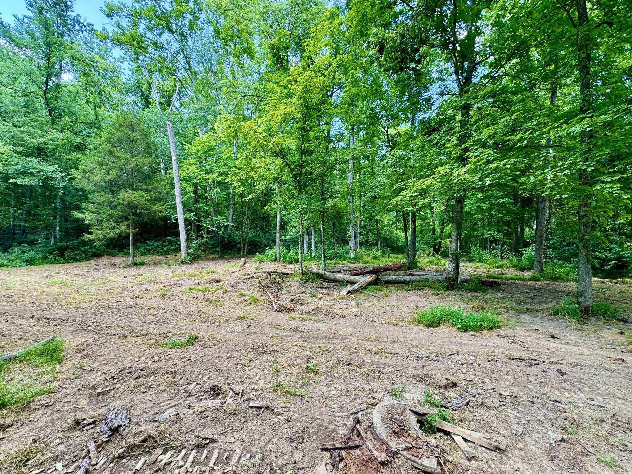 1080 Henley Rd Property Photo 4