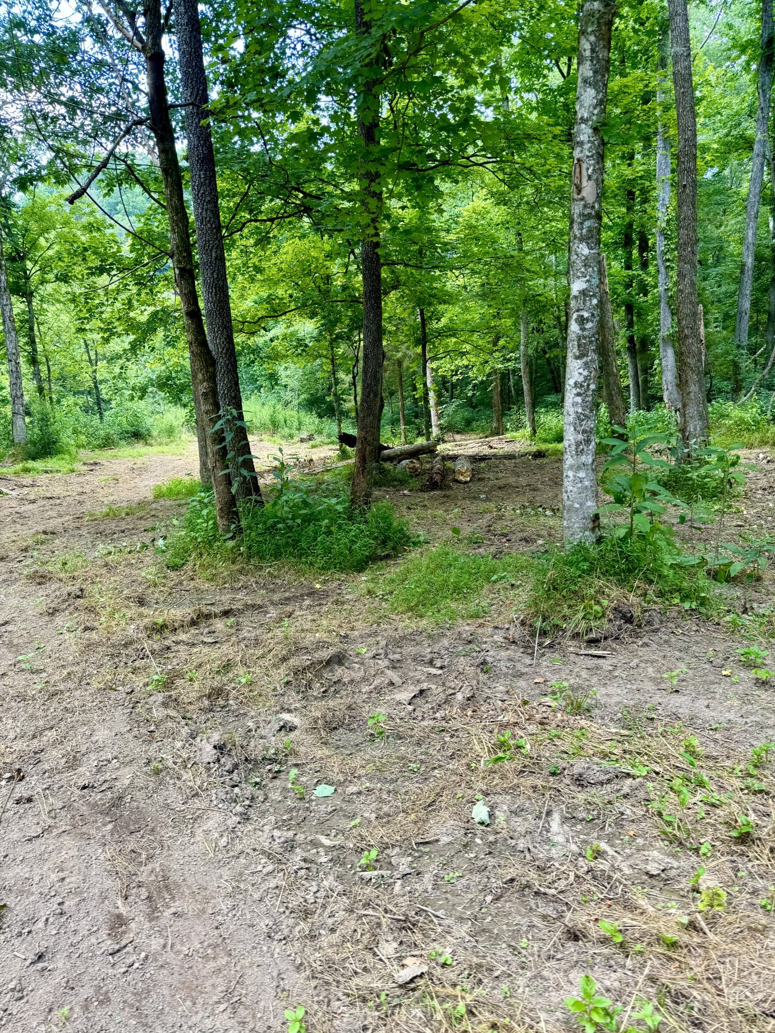 1080 Henley Rd Property Photo 6