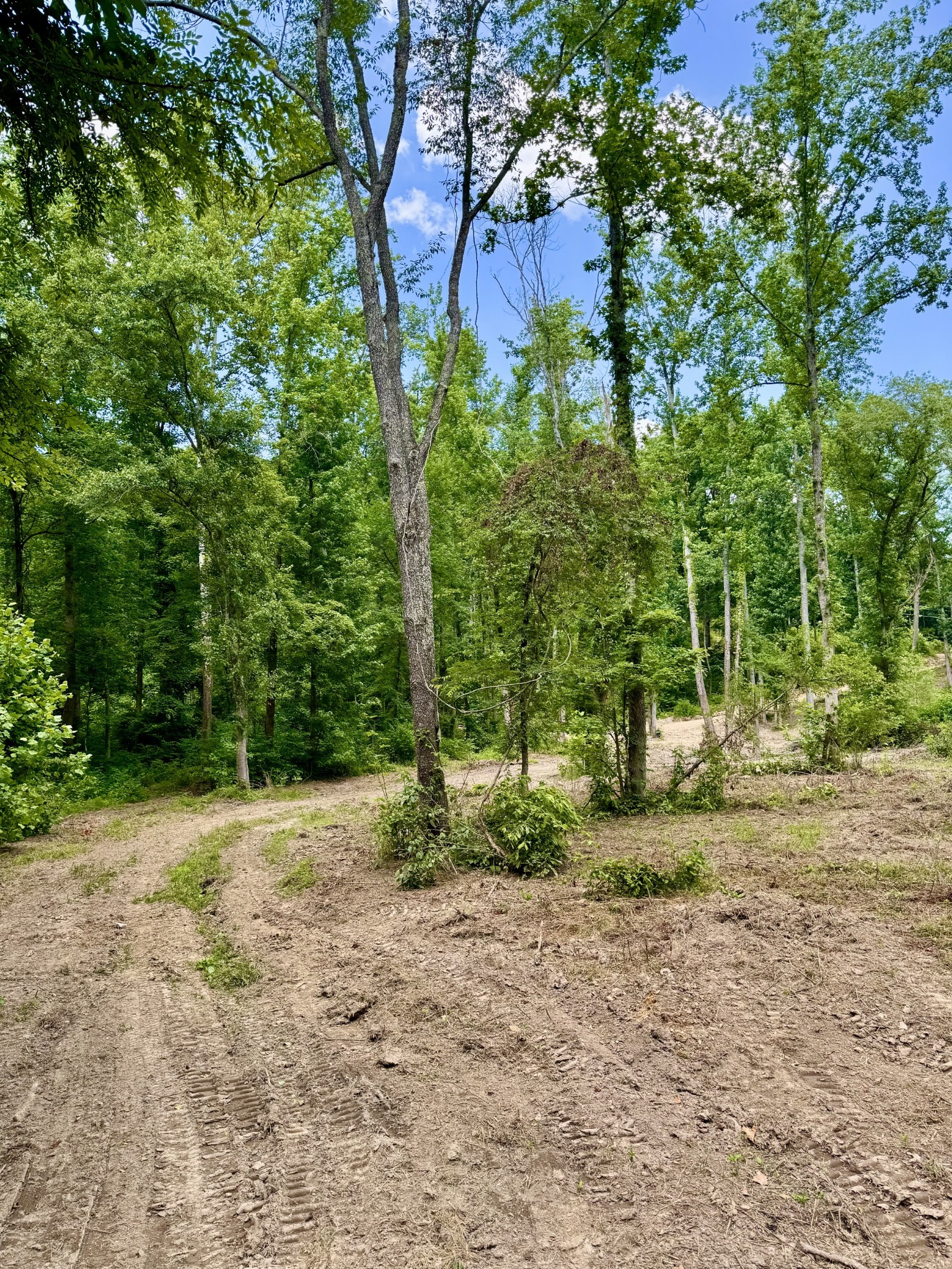 1080 Henley Rd Property Photo 7