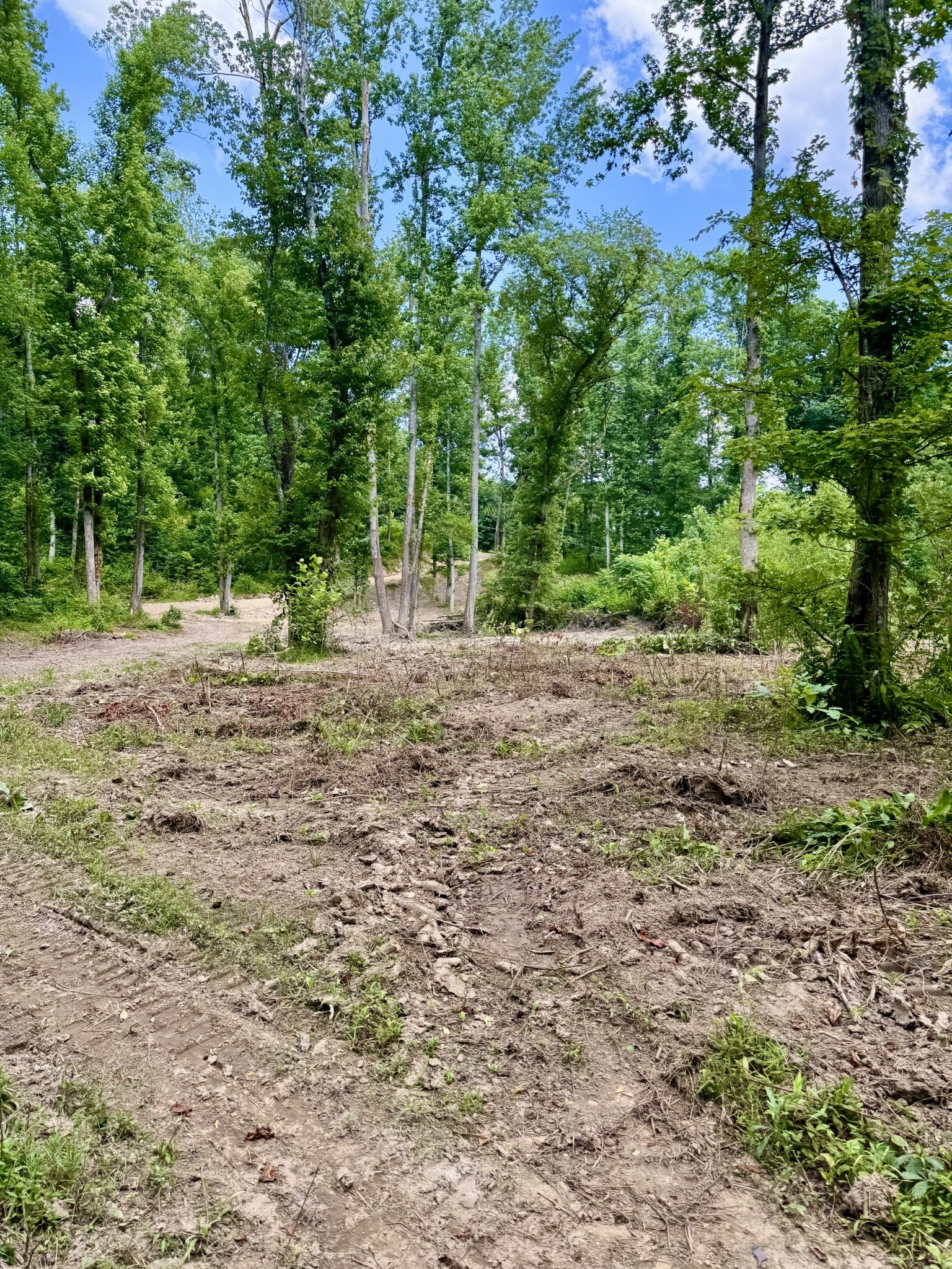 1080 Henley Rd Property Photo 8