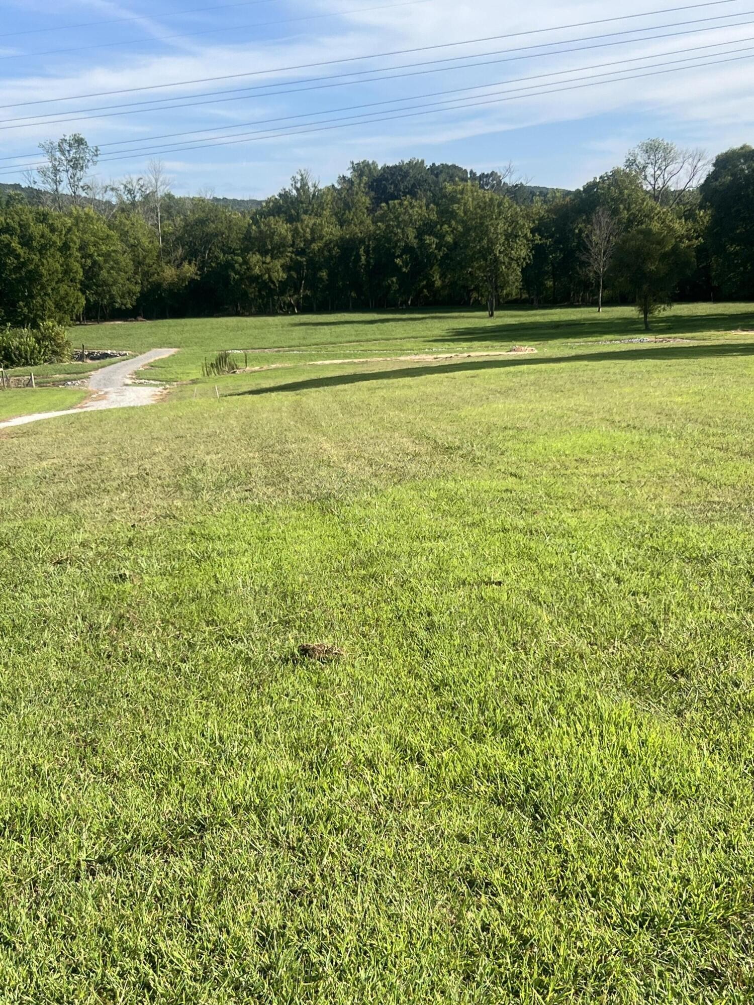 87 Peavine Road Property Photo 4