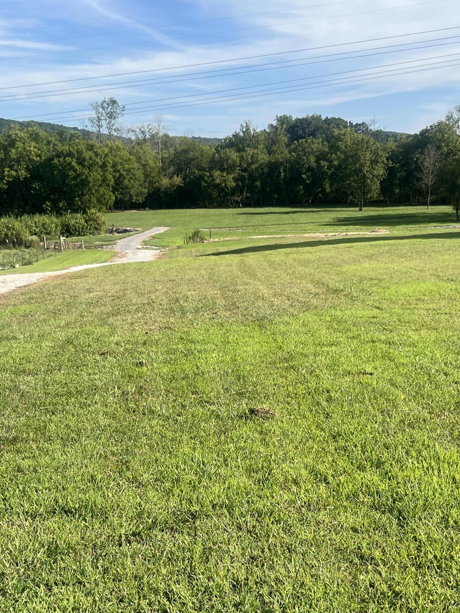 87 Peavine Road Property Photo 5