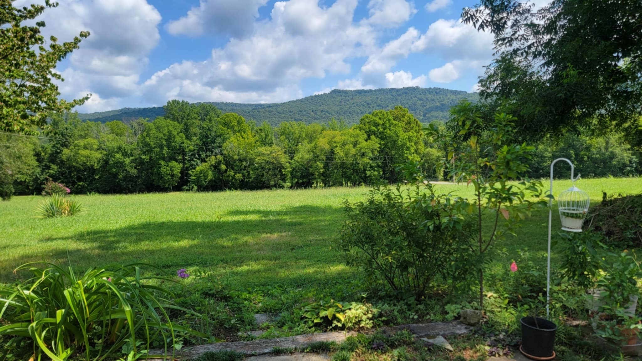 1556 Chestnut Grove Rd Property Photo 2