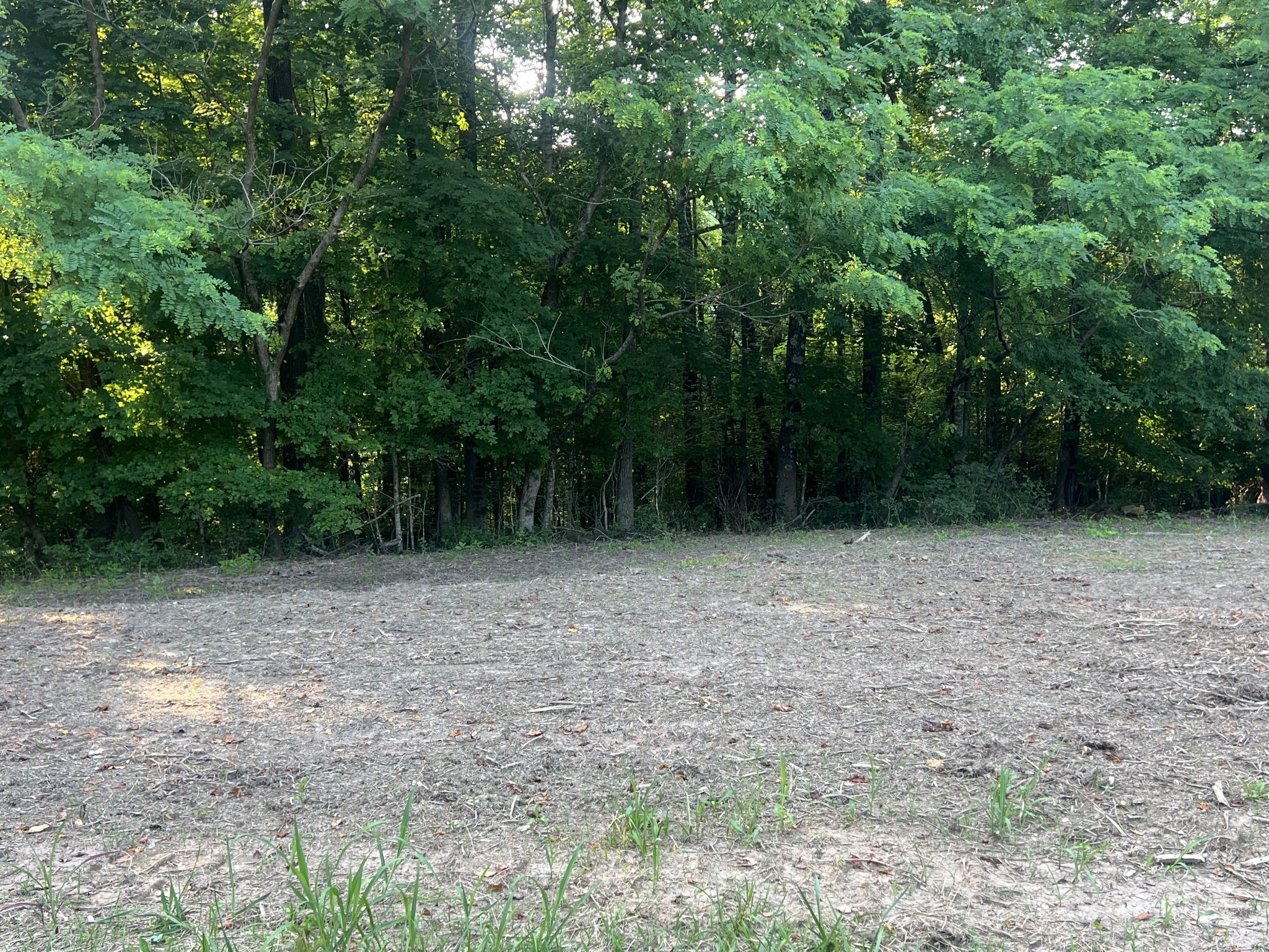 2 Jarrell Ridge Rd Property Photo 1