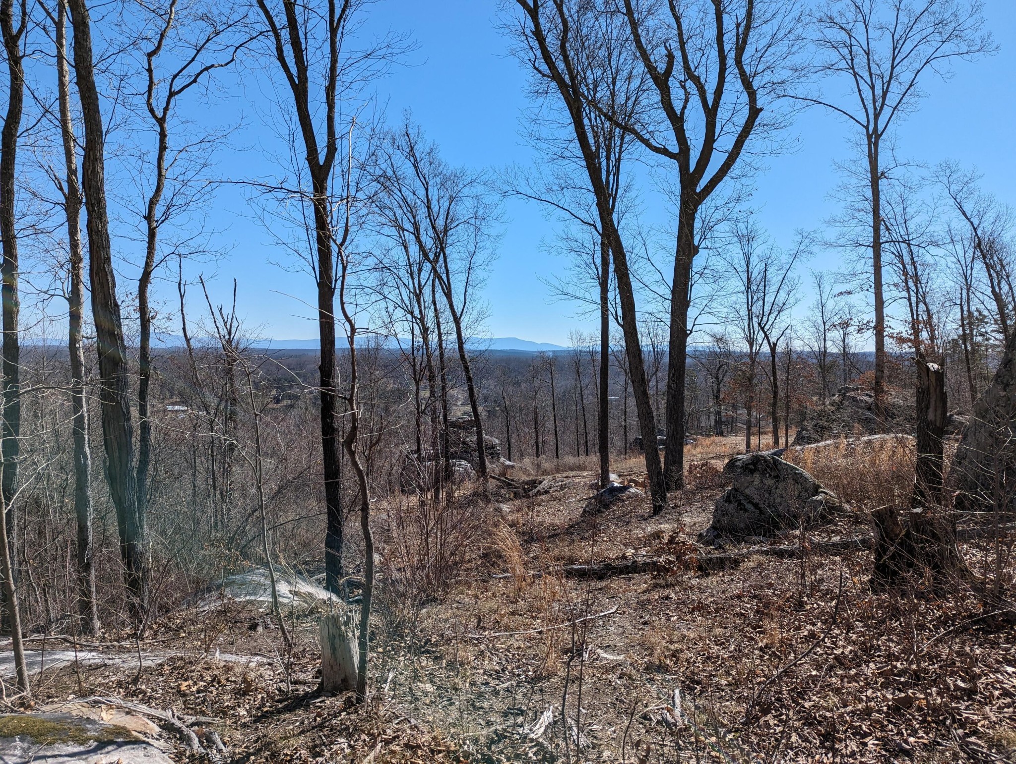 10688 Pine Hill Road Property Photo 1