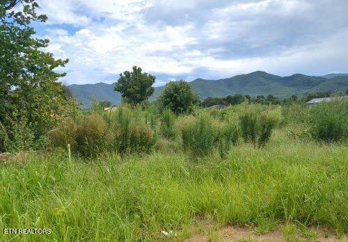 290 Bill Mauk Rd Property Photo 1