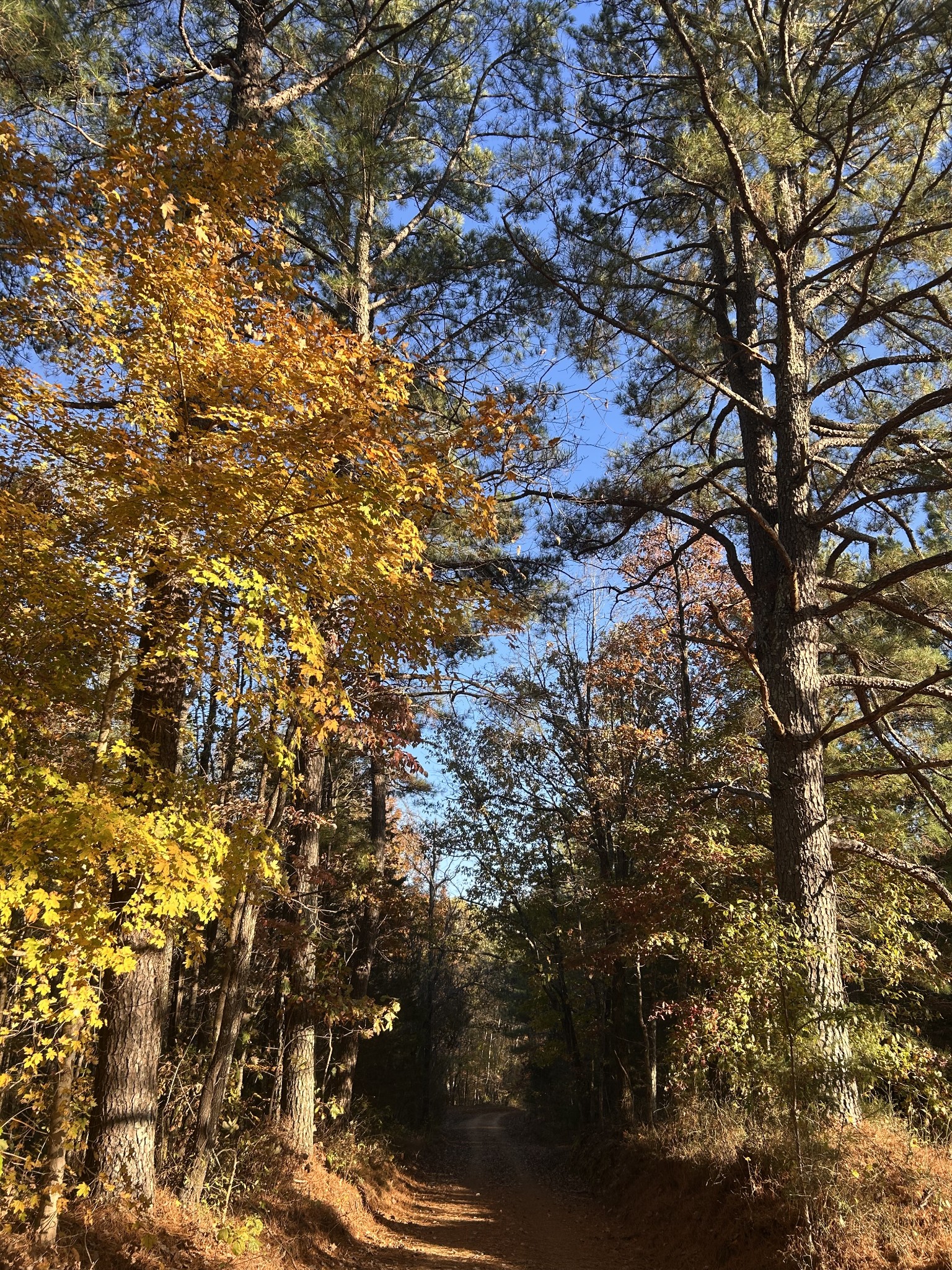 7111 Wink Parker Rd Property Photo 2