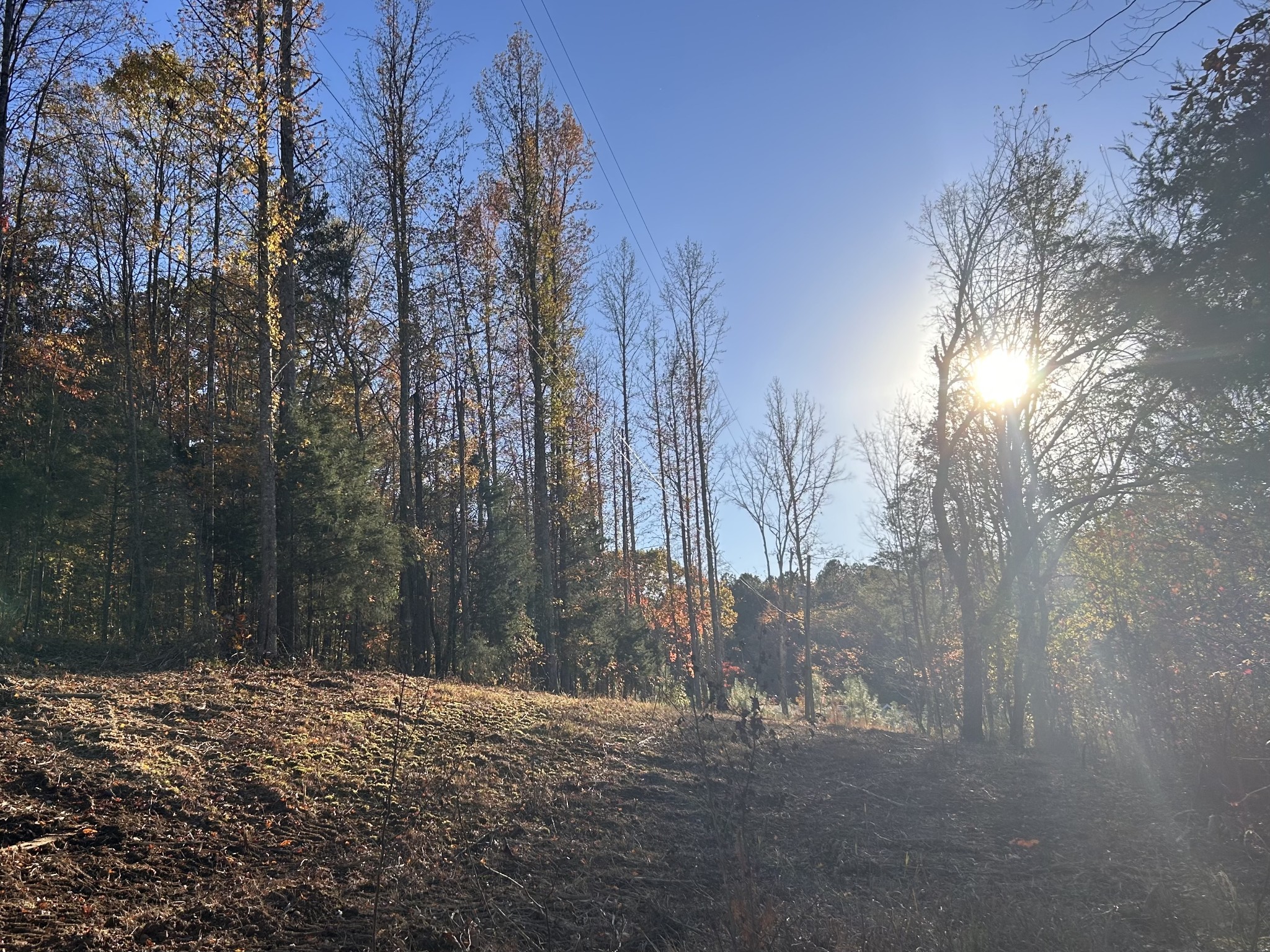 7111 Wink Parker Rd Property Photo 4