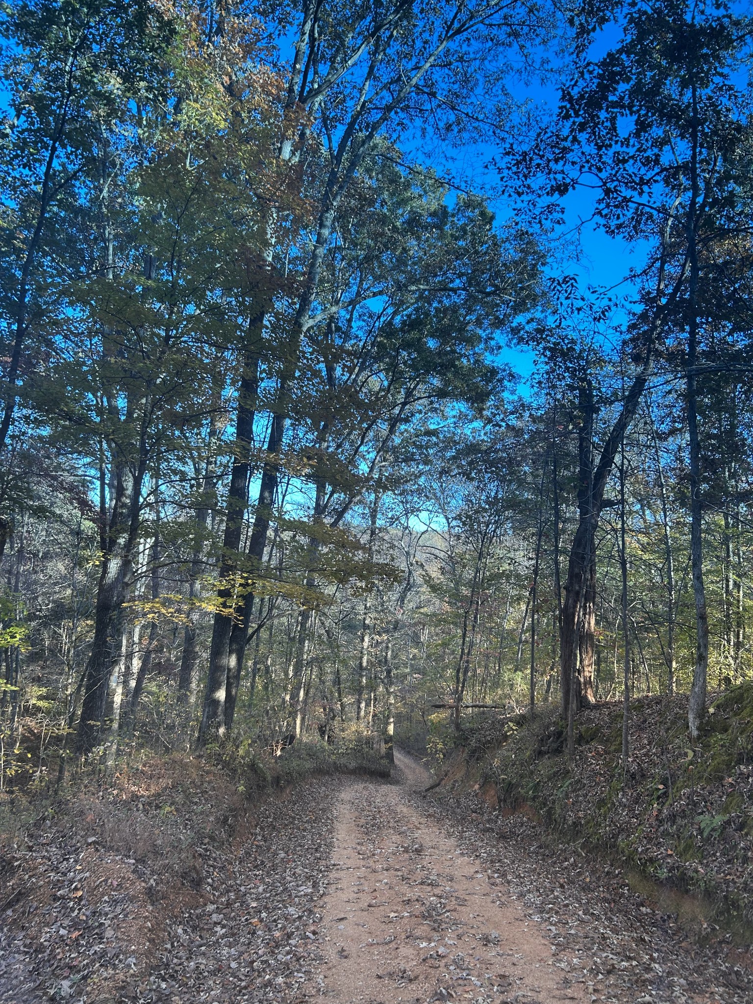 7111 Wink Parker Rd Property Photo 5