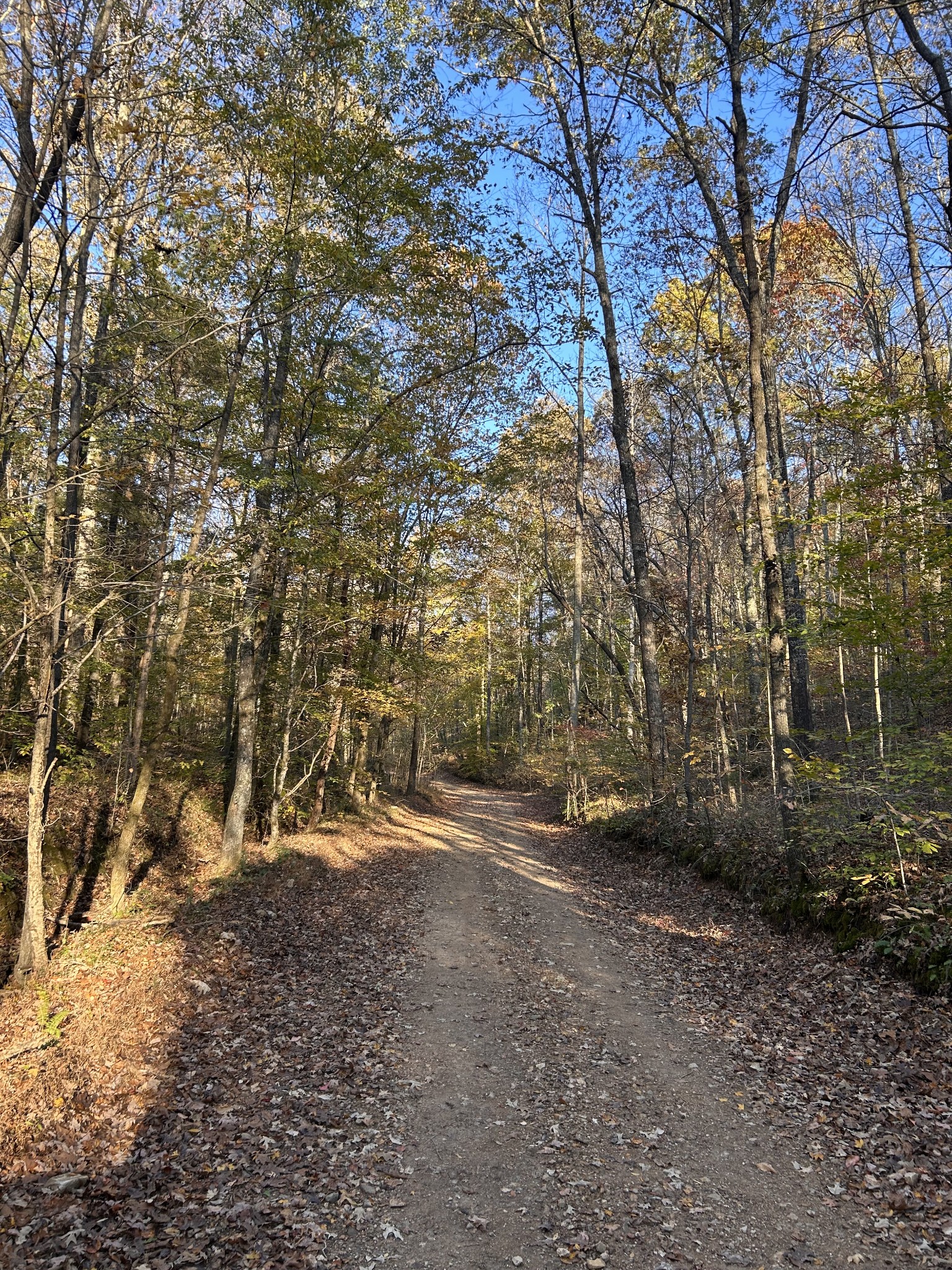 7111 Wink Parker Rd Property Photo 6