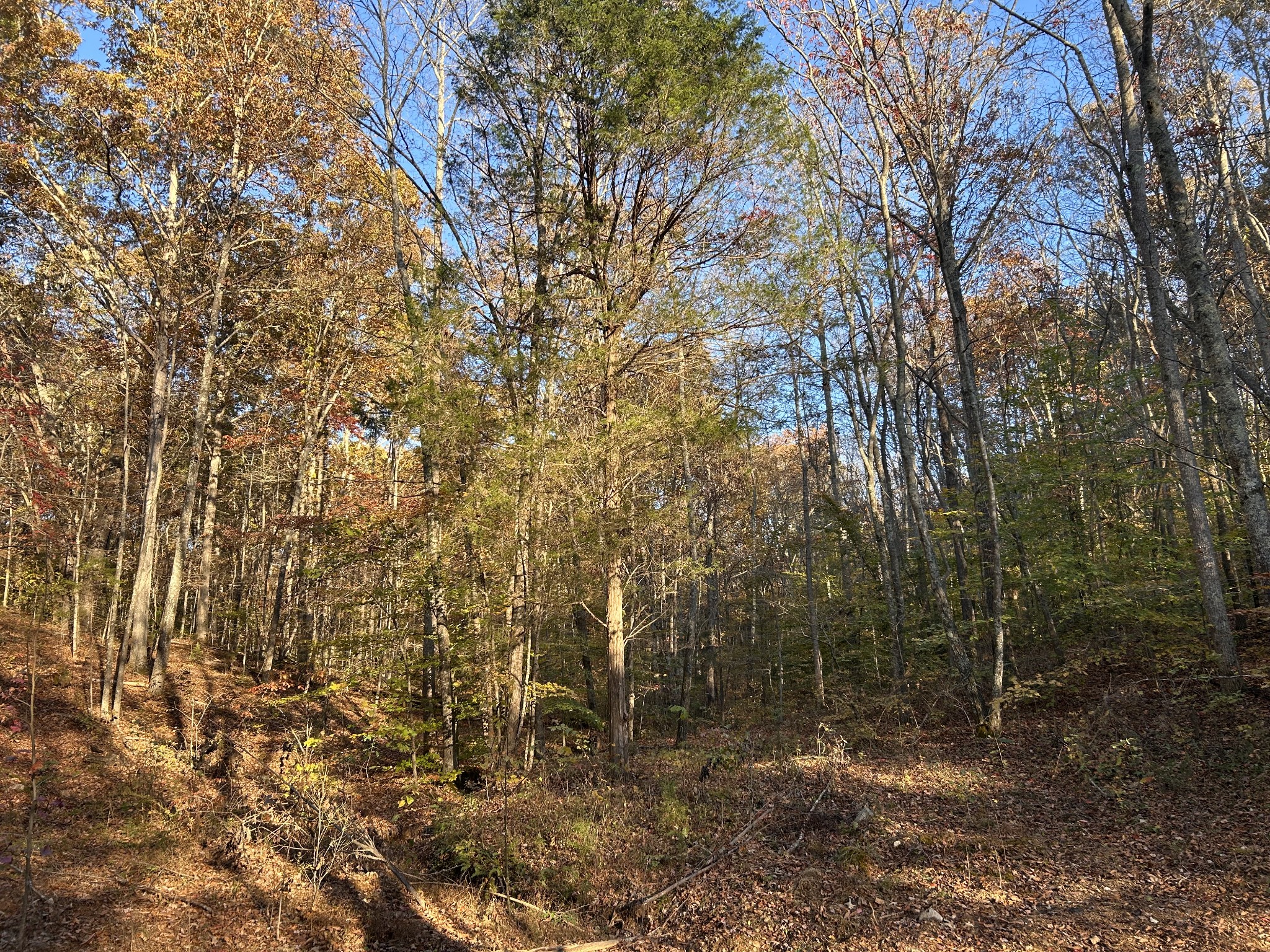 7111 Wink Parker Rd Property Photo 7